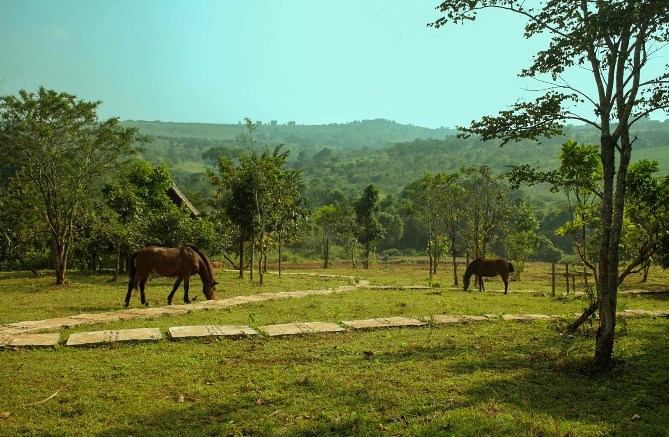 Nature Lodge