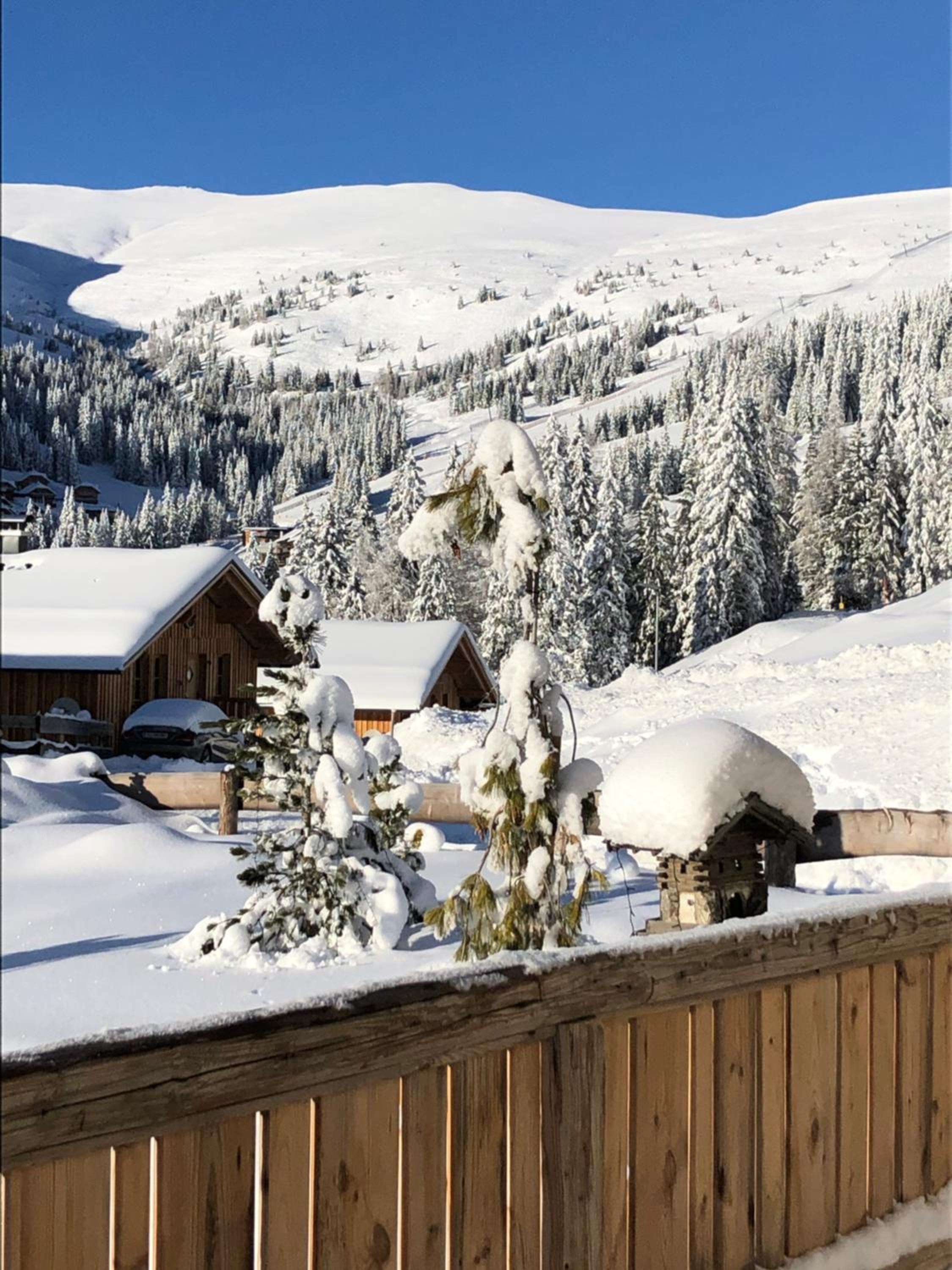 Almhaus Chalet 607 - Lachtal