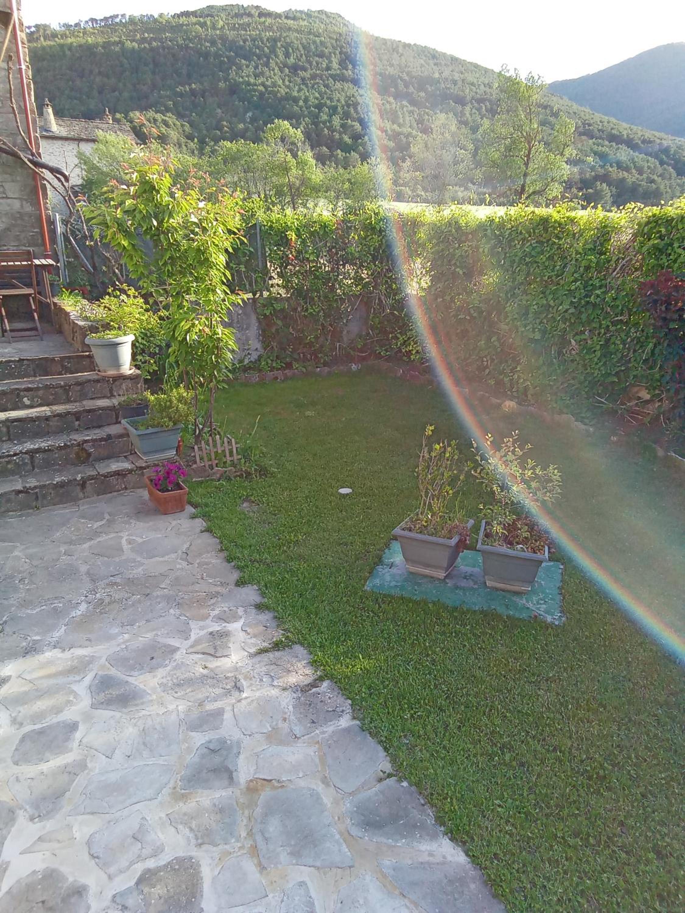 Photo 54