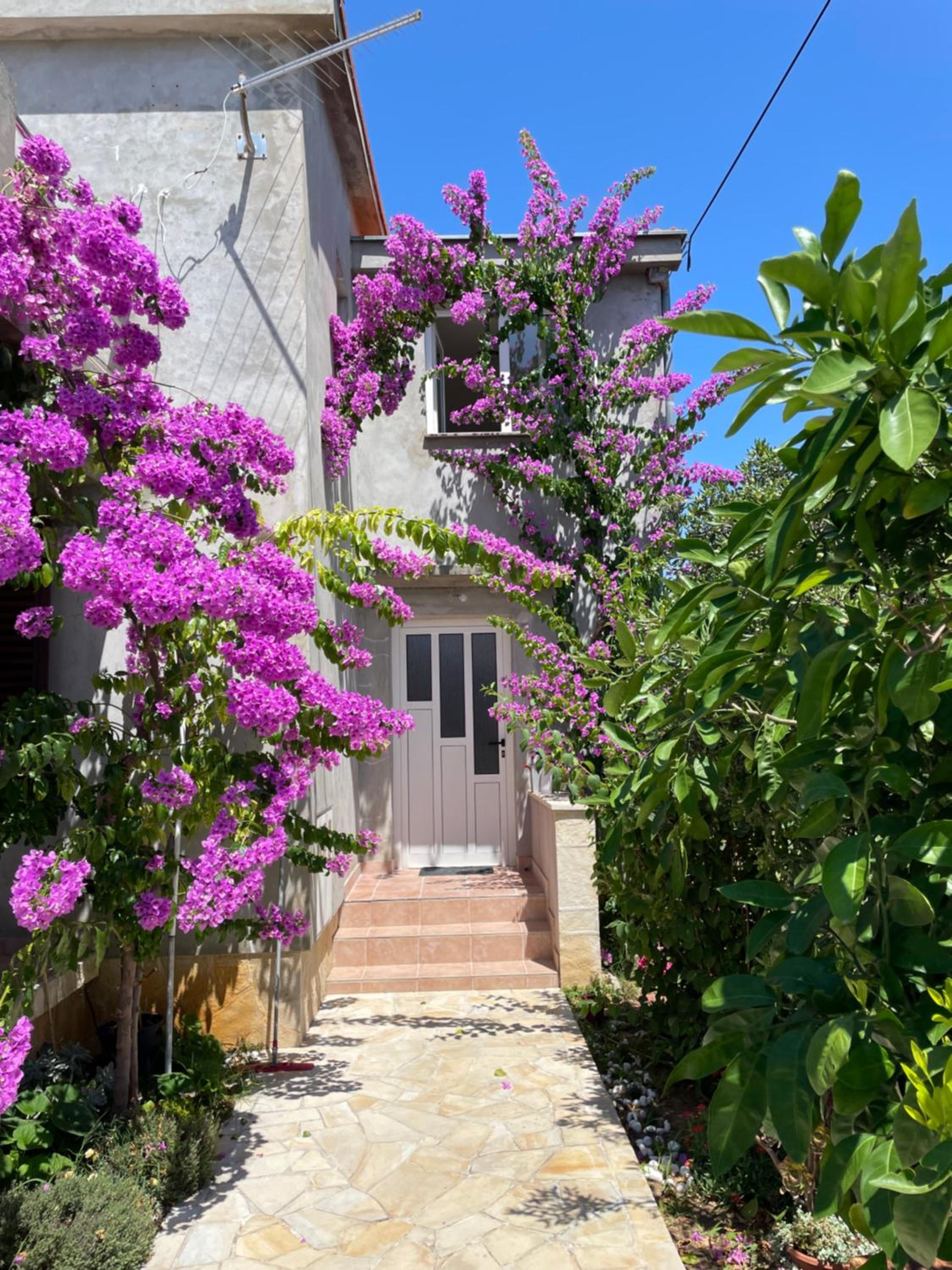 Apartments Flowers - by TA Leut Agency