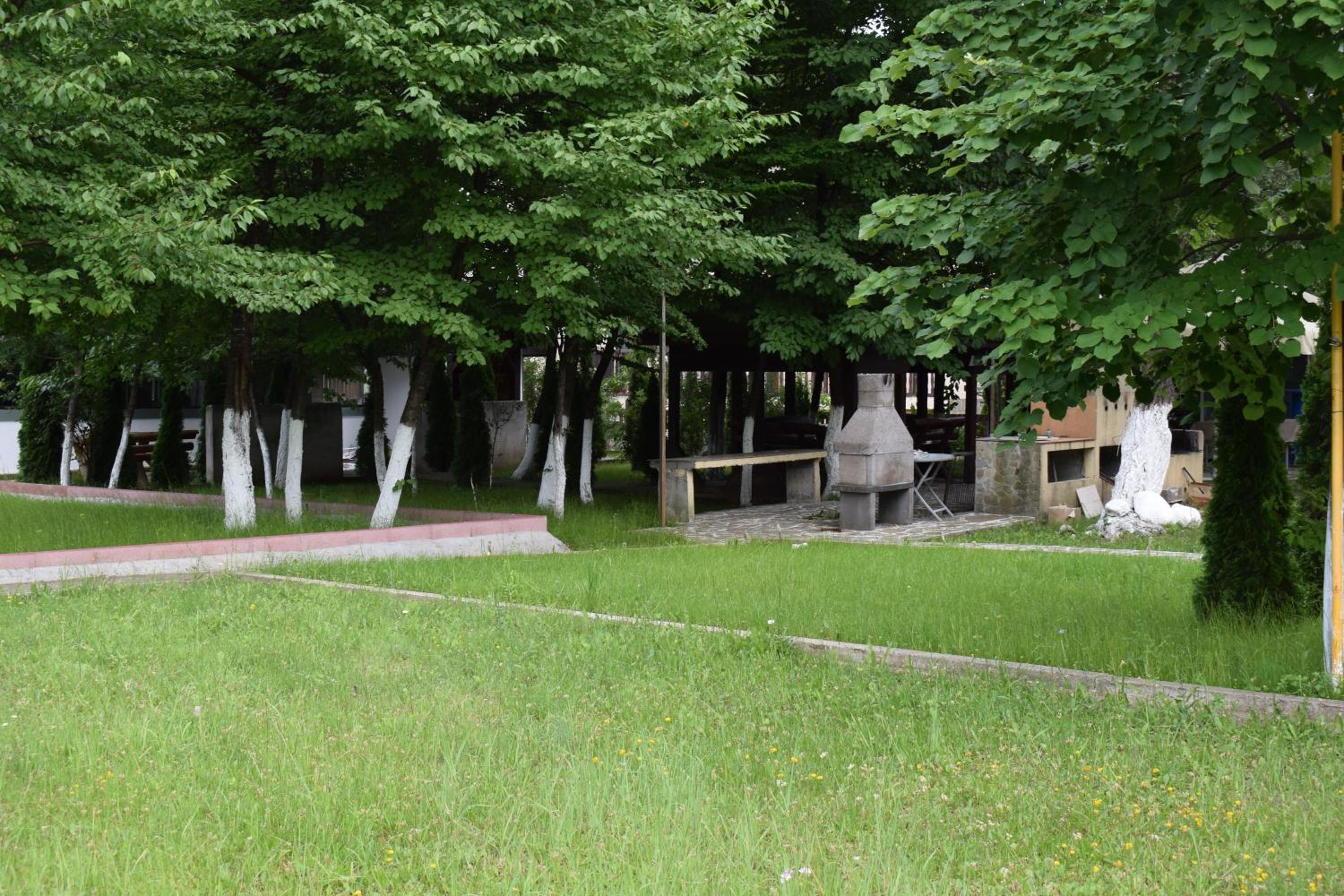 Photo 47