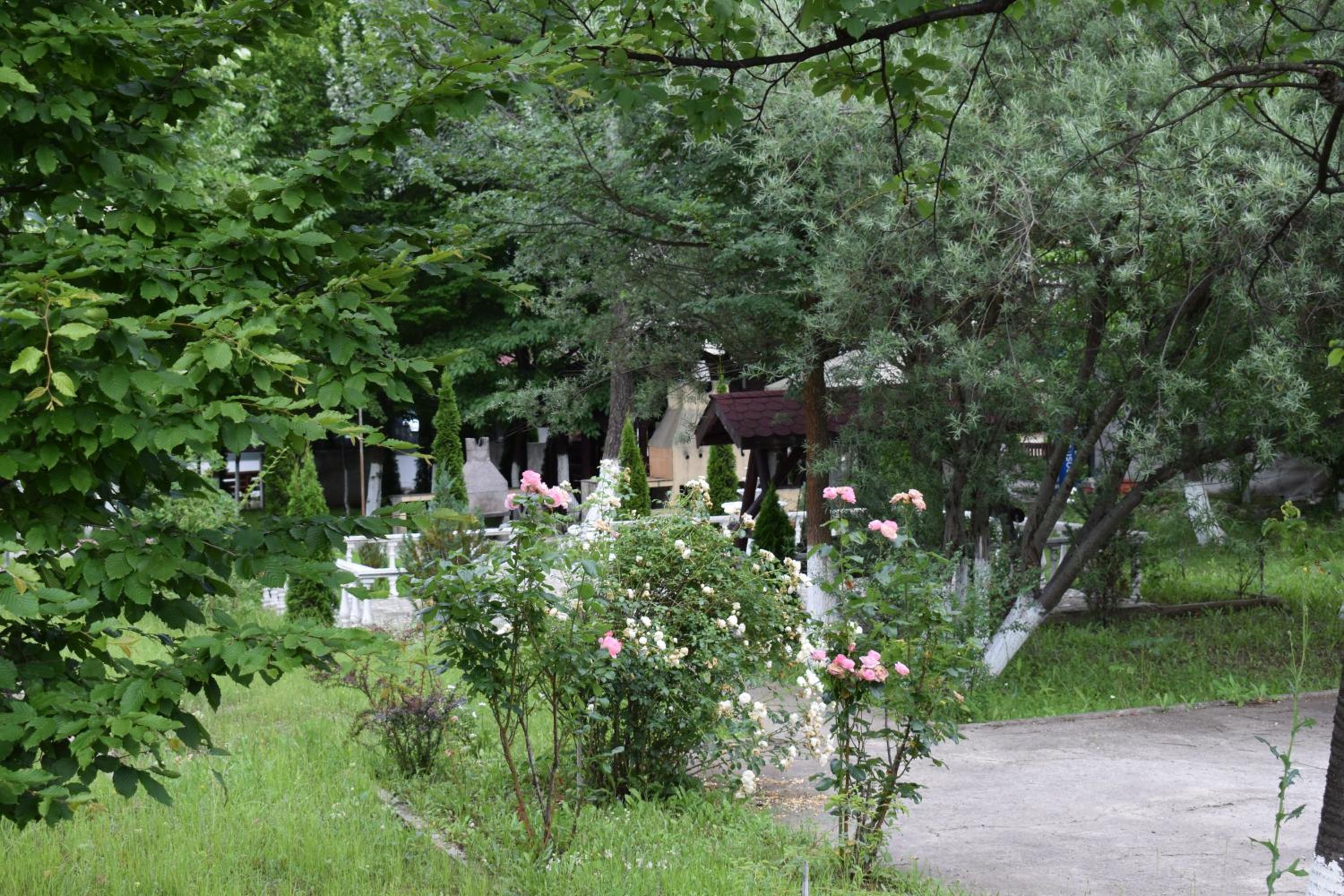 Photo 45