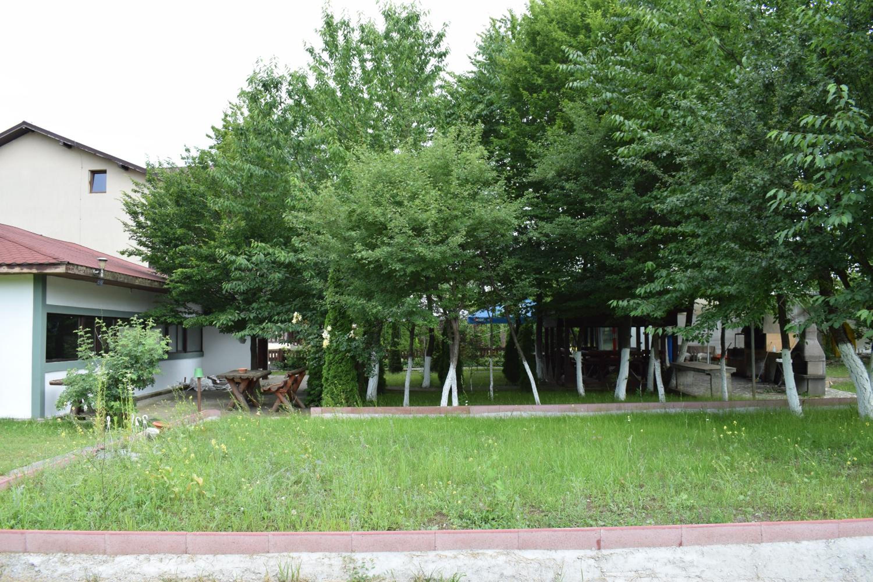Photo 46
