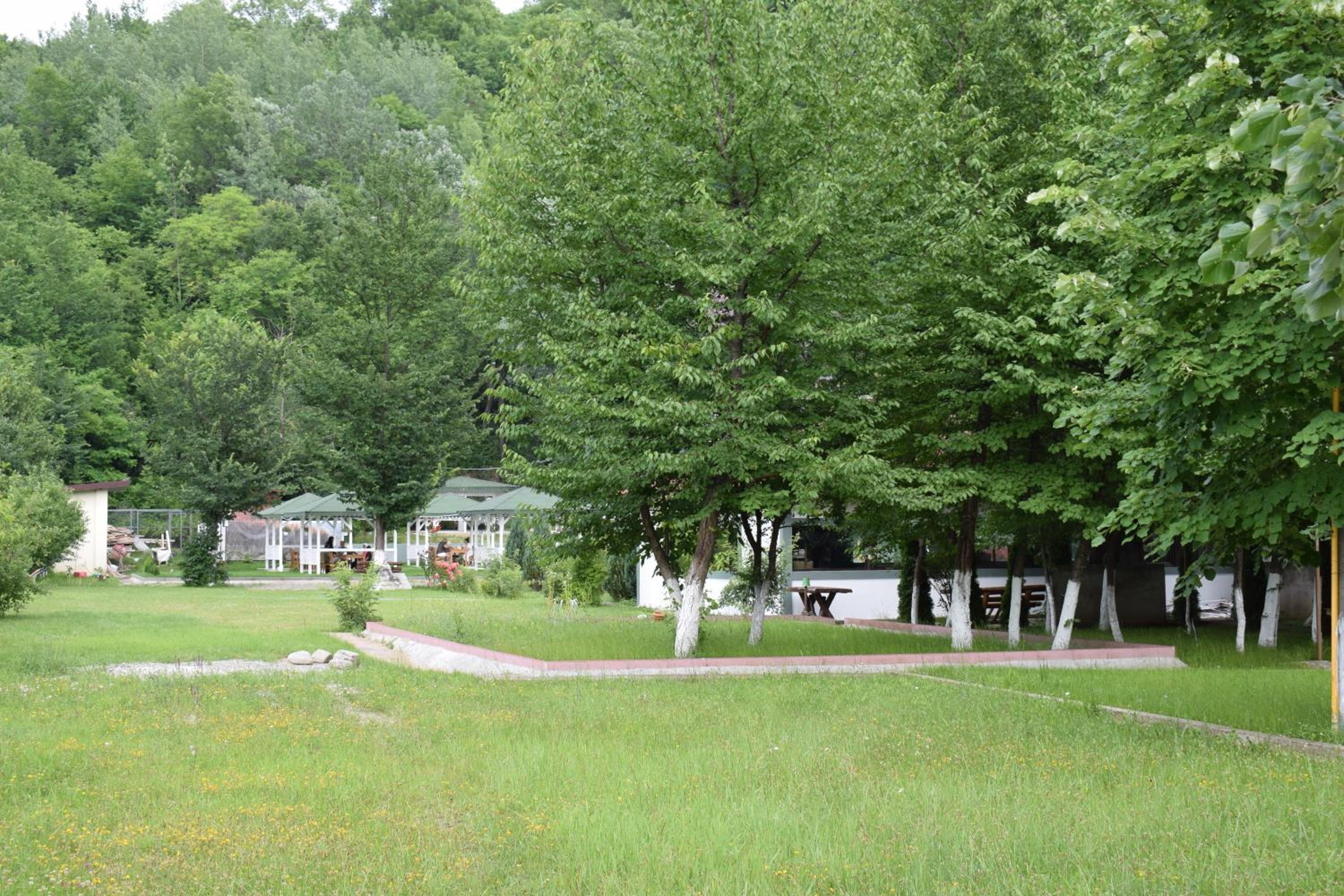 Photo 40