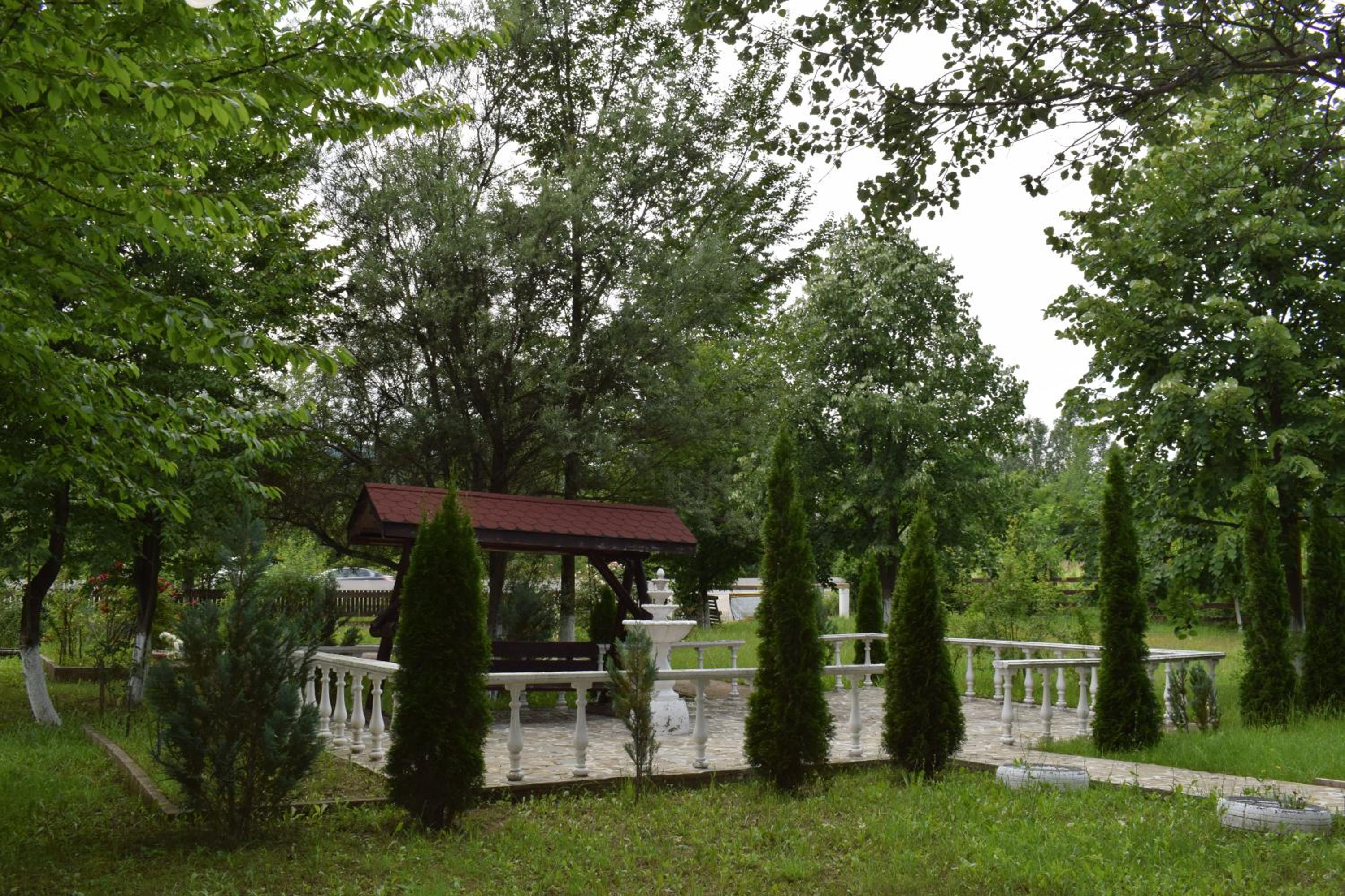 Photo 42