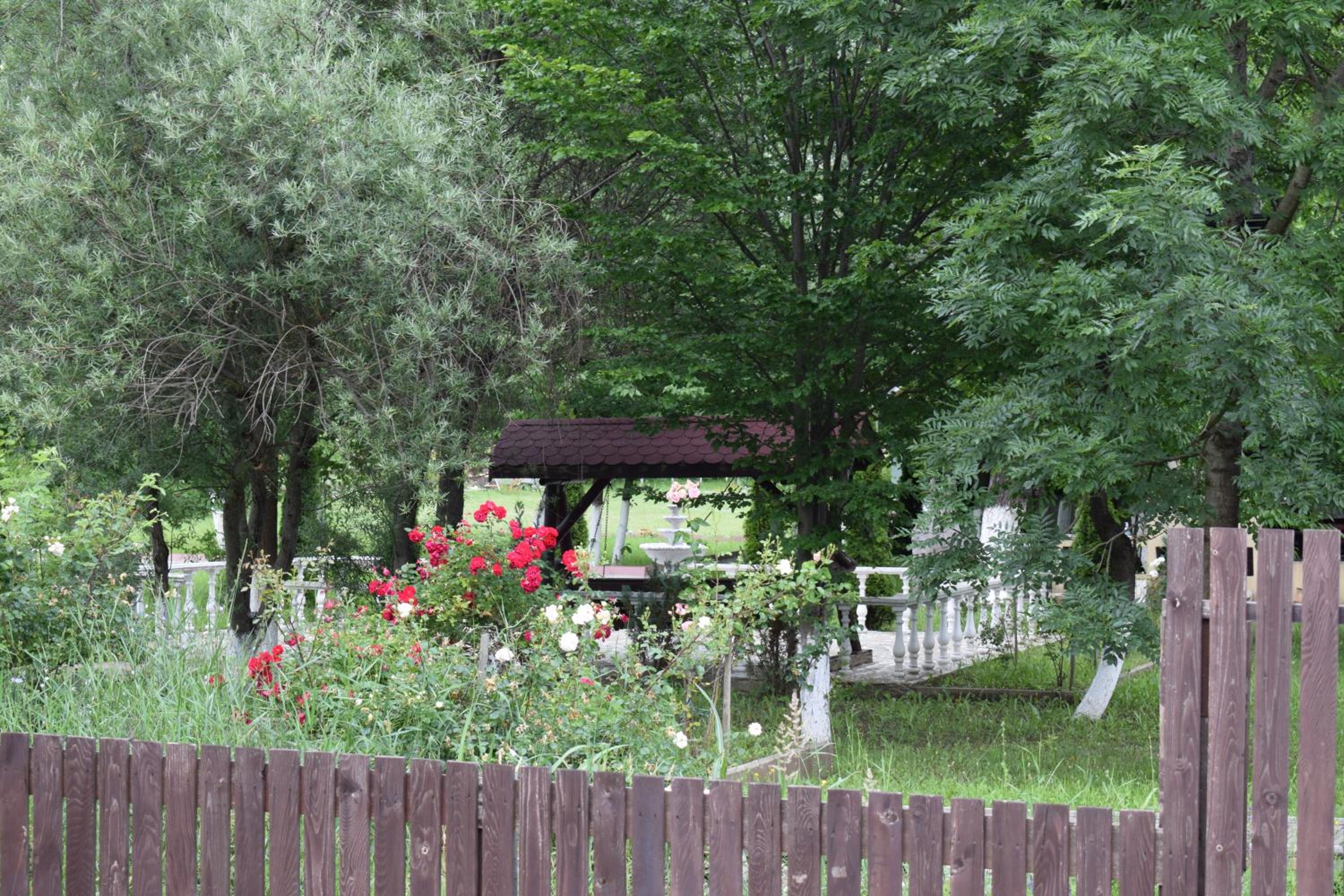 Photo 49