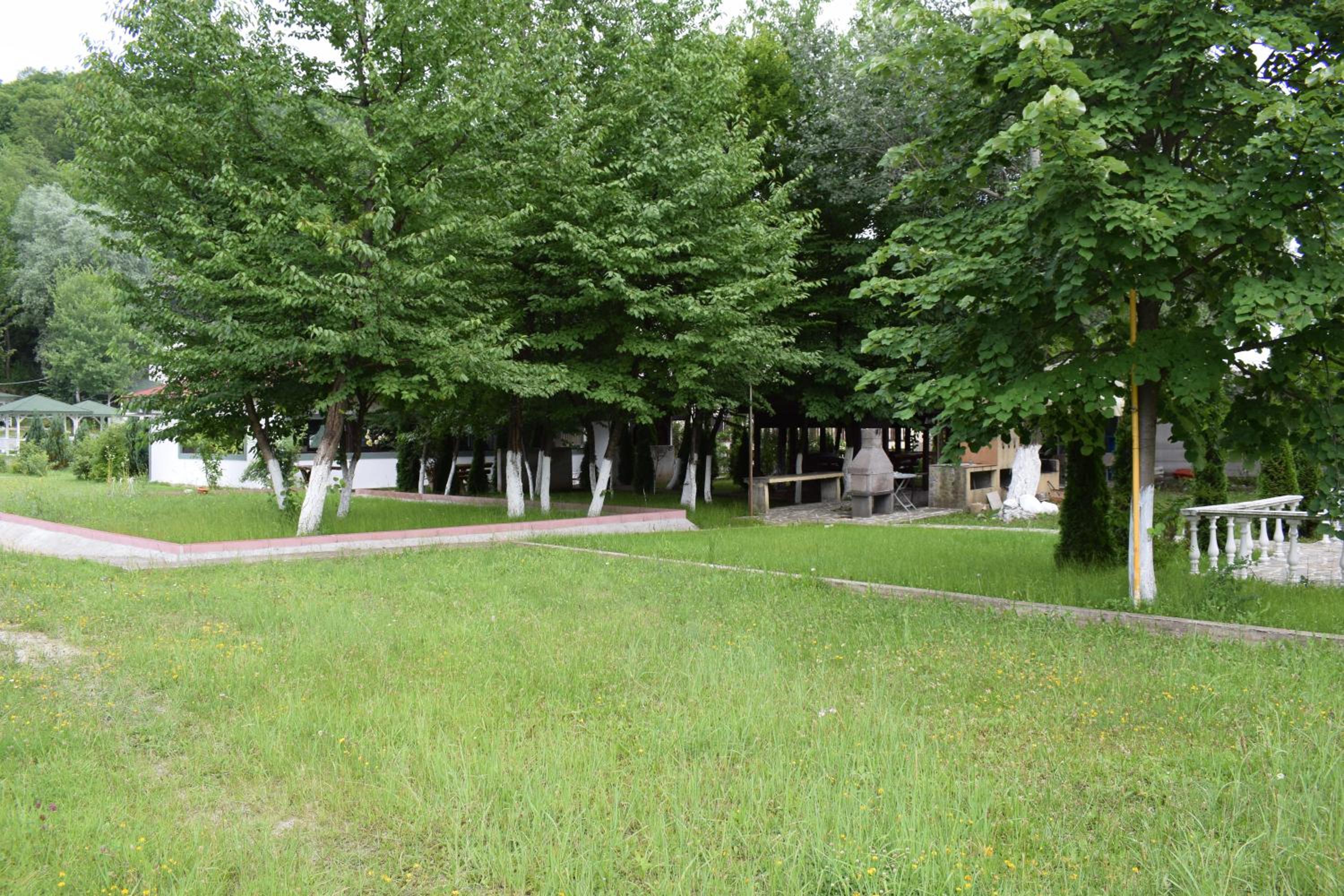 Photo 53