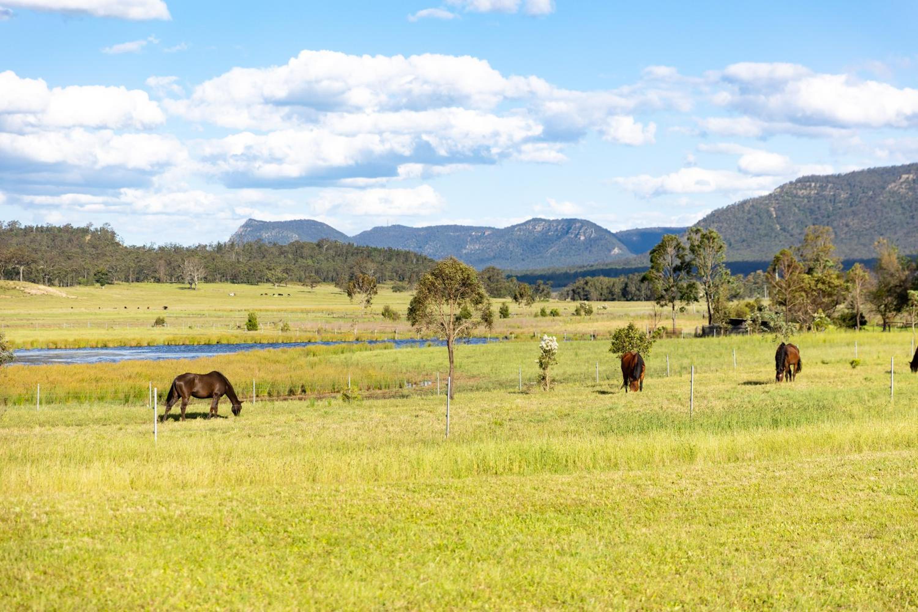 The House - The Charles at Broke Hunter Valley Luxury
