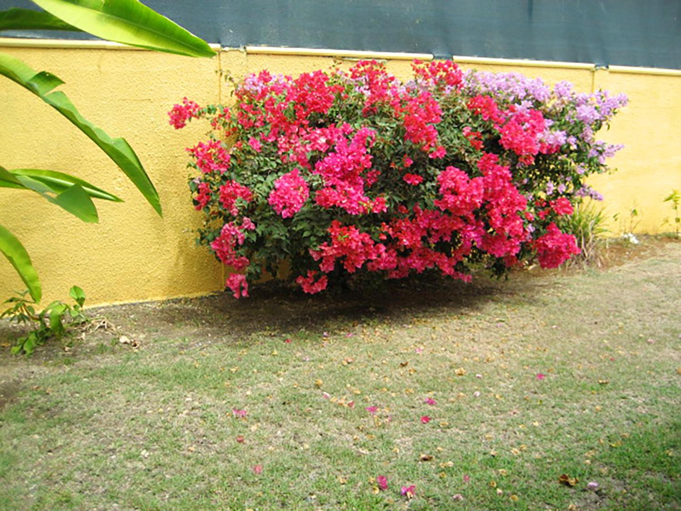 Photo 34