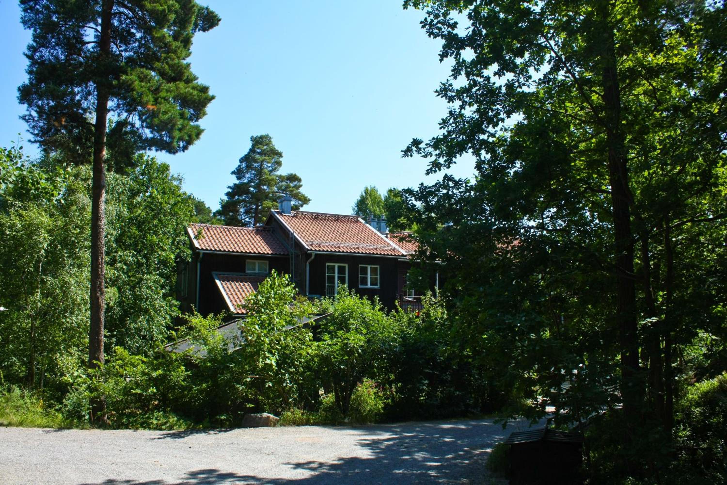 Photo 21