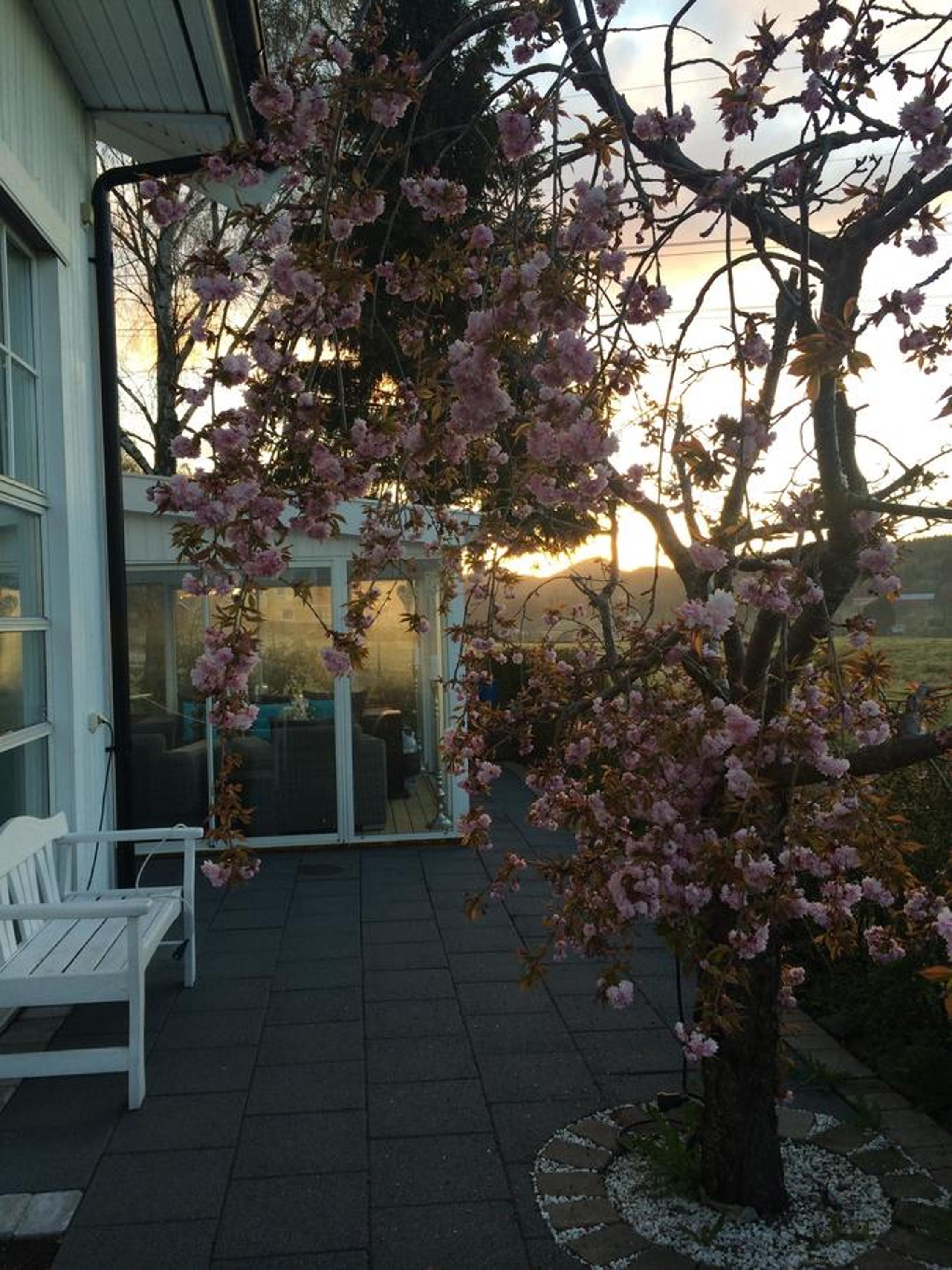 Café Torpet B&B view 3