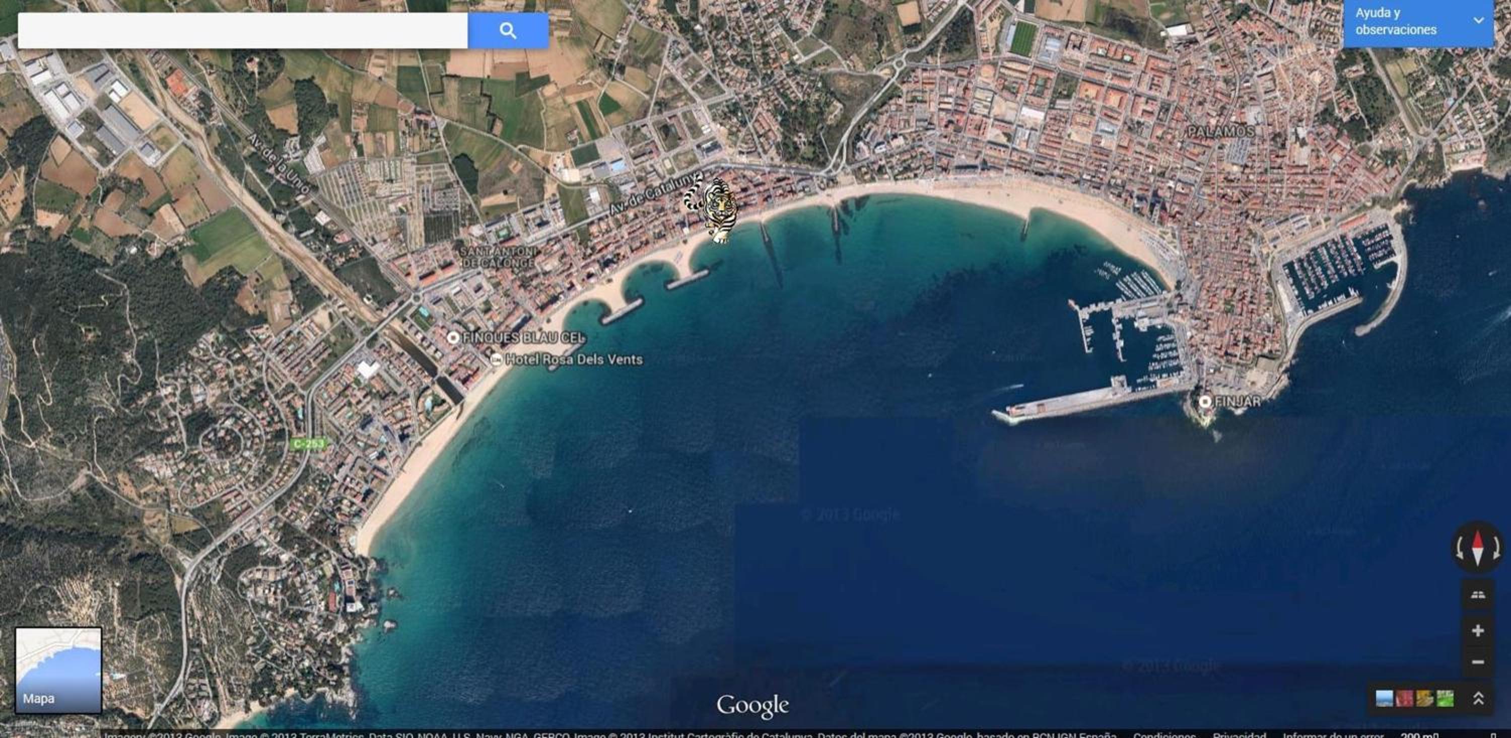 Photo 11