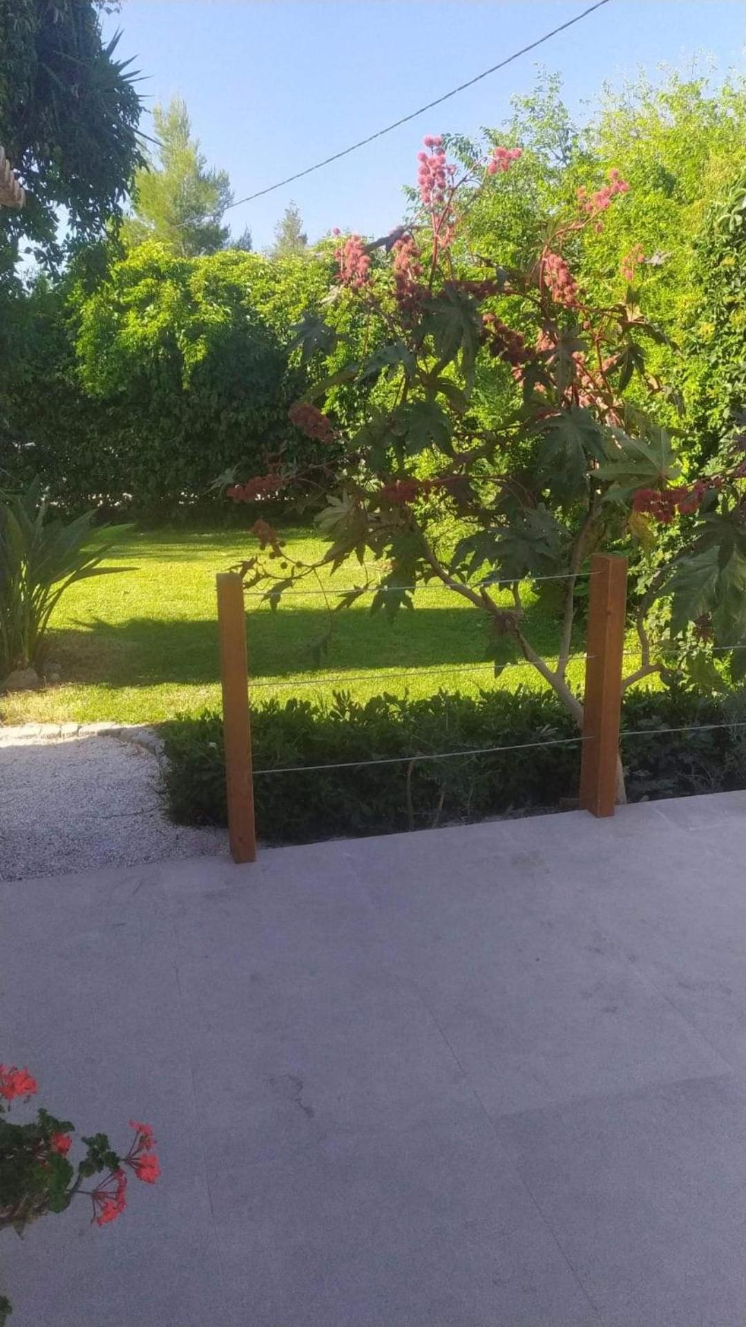 Bay Lodge Alykanas photo 3