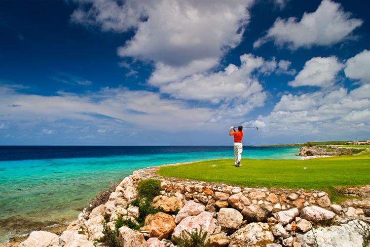 A Beautiful Villa Curacao with large pool and tropical garden