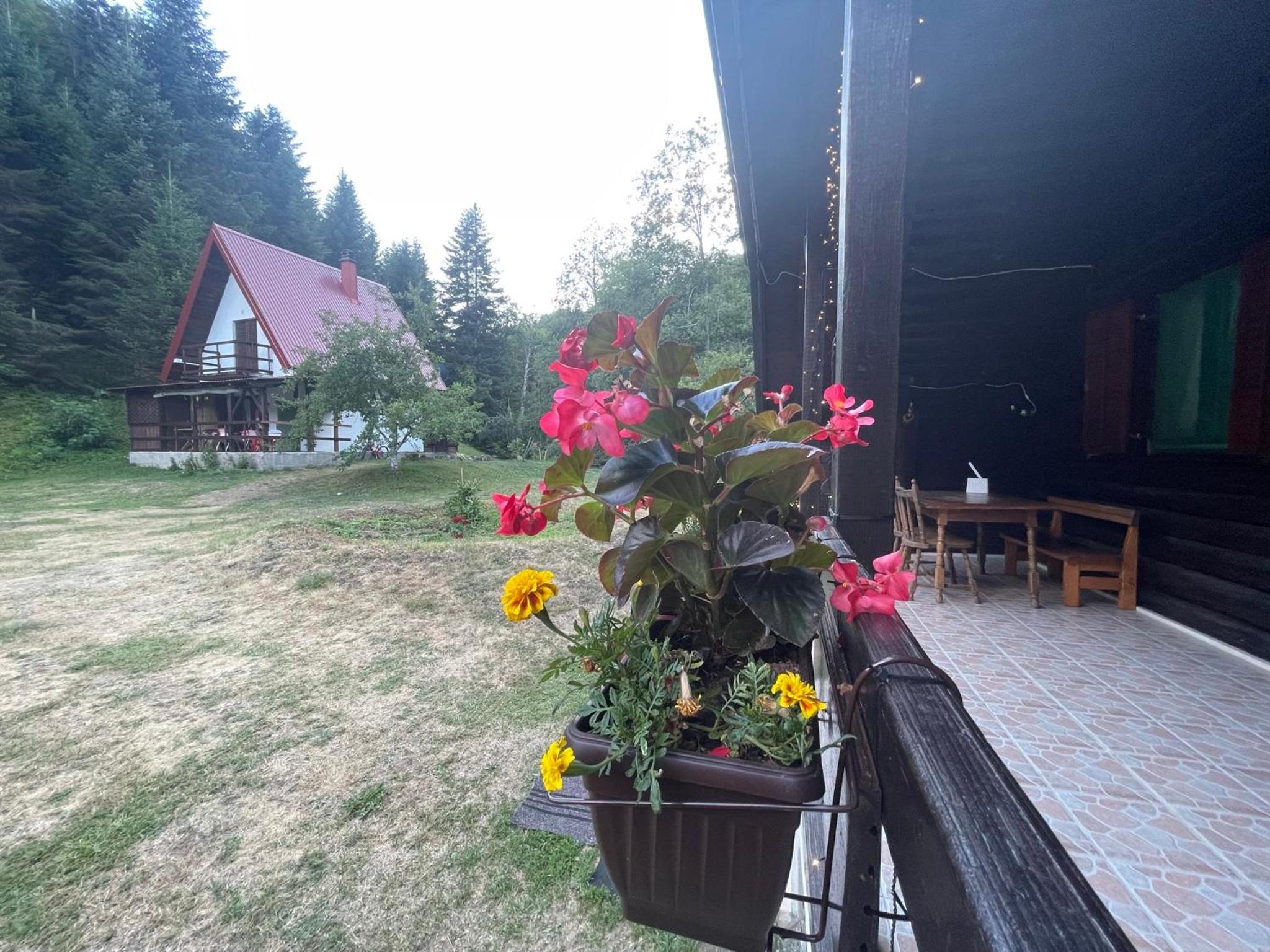 Cottage in the wild Pješčanica view 3