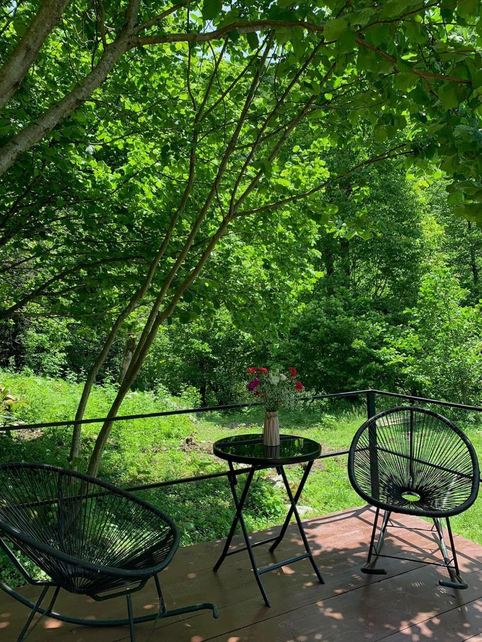 Nahei Cottage Martvili