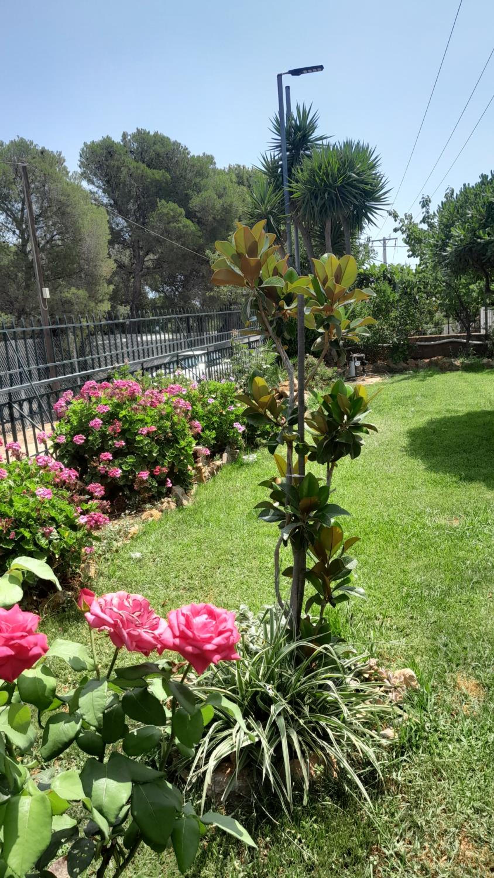 Photo 35