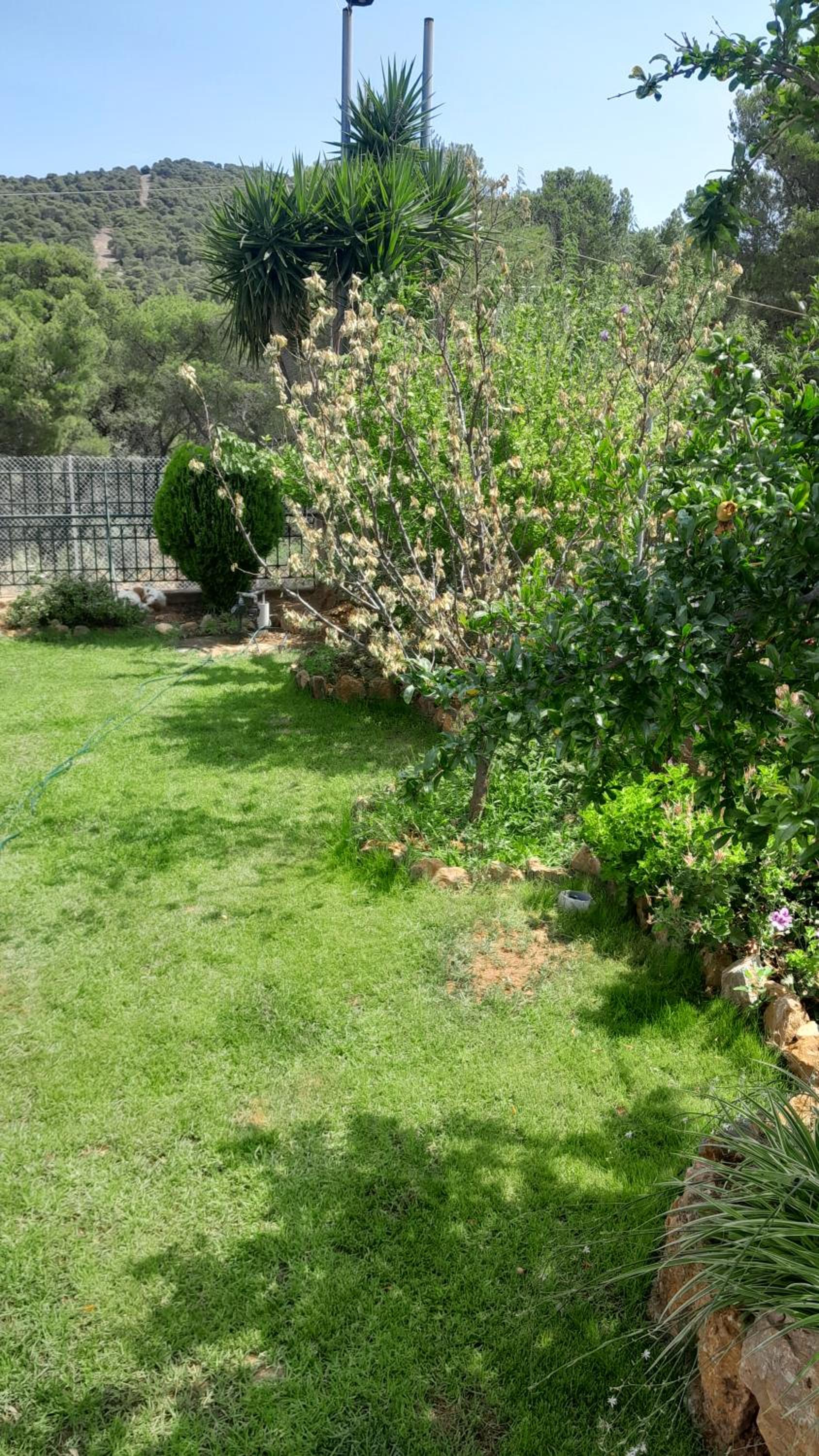 Photo 38