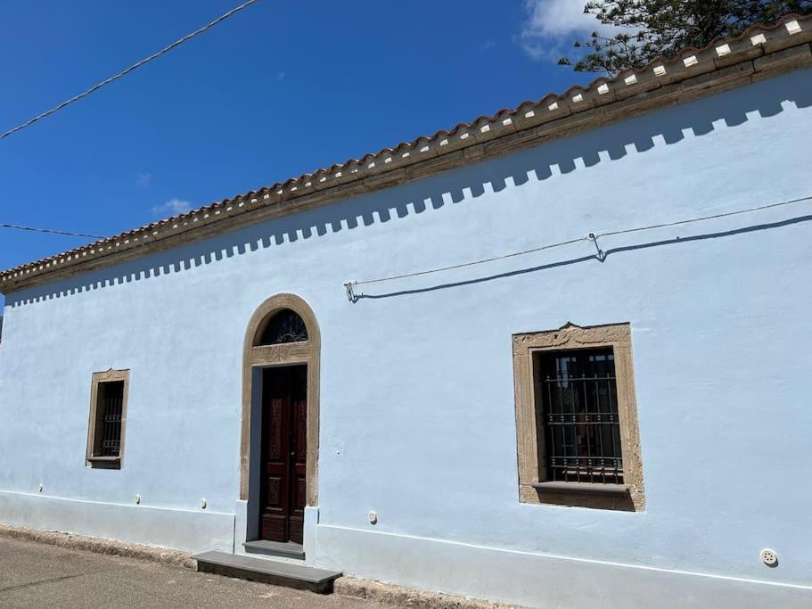 L'Araucaria Appartamento Suite Il Ginepro