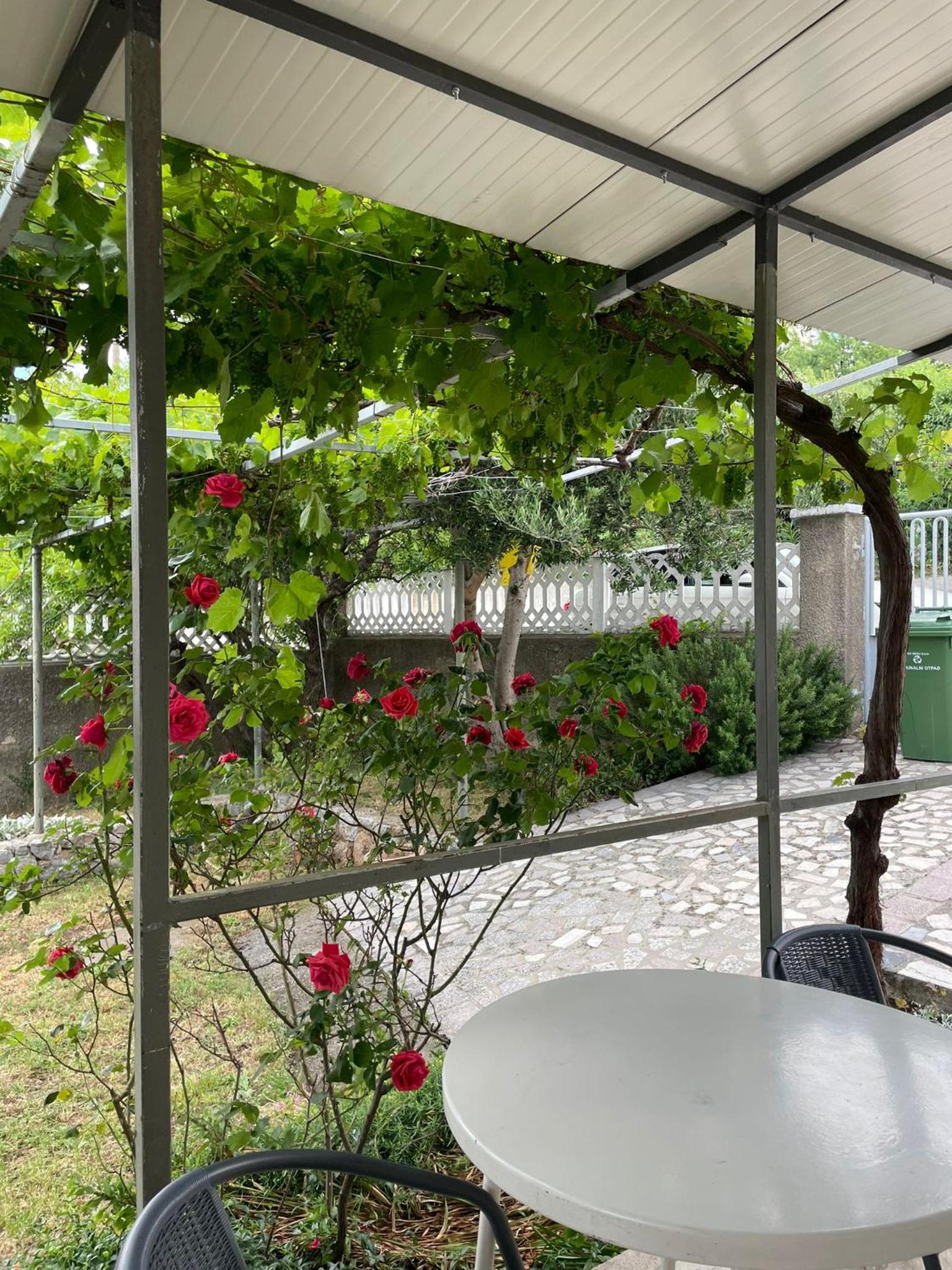 Apartment " So"