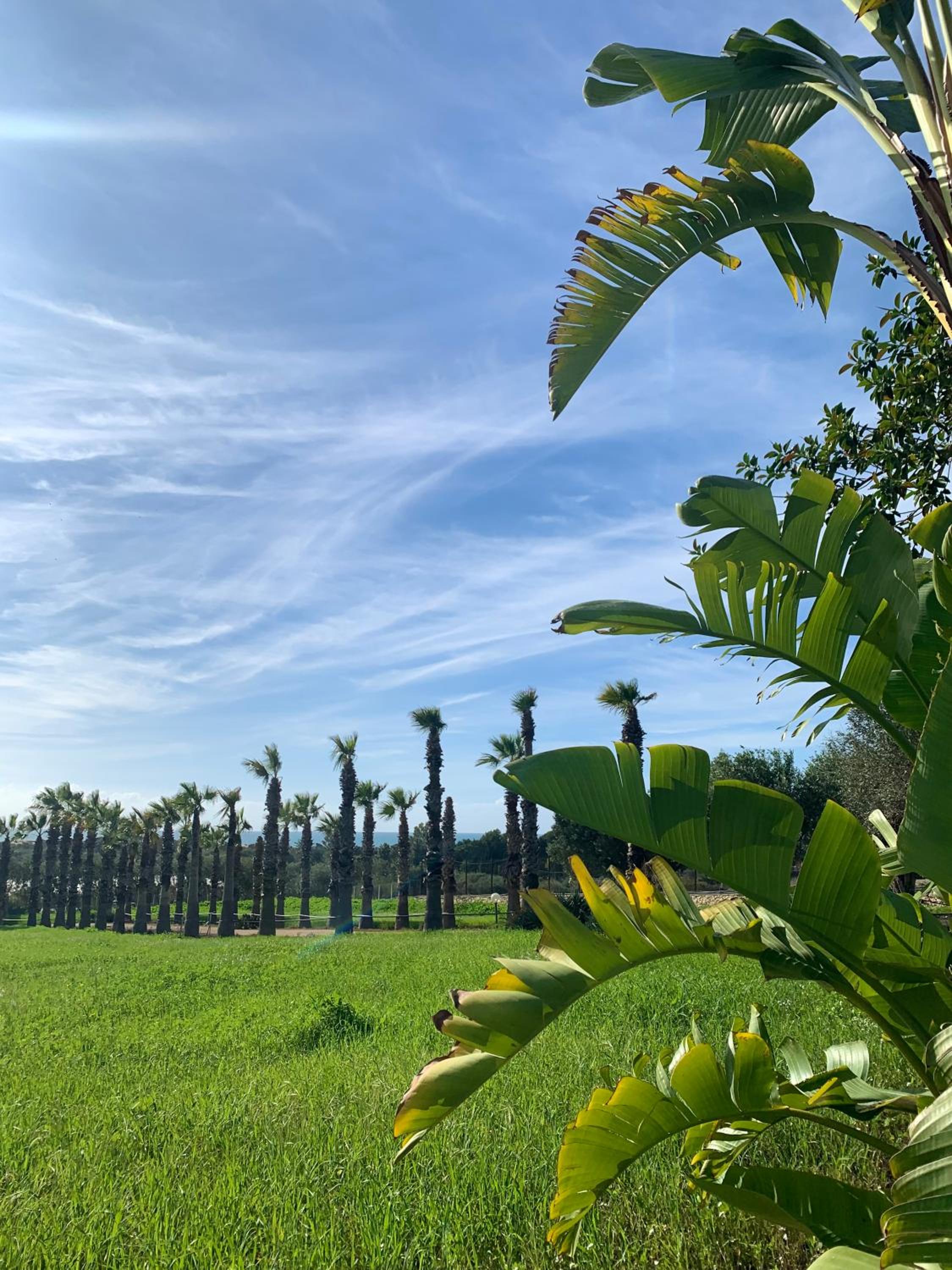 VILLA DEA view 4