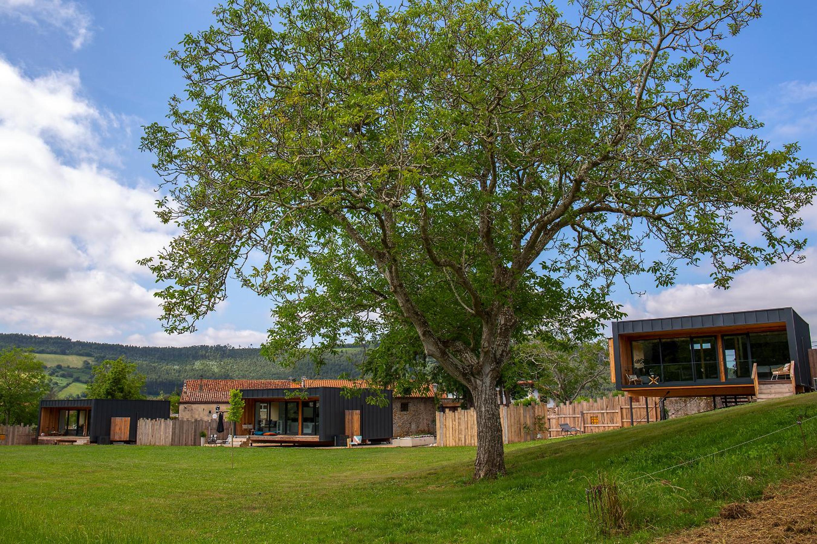 VIBE LUXURY CABINS