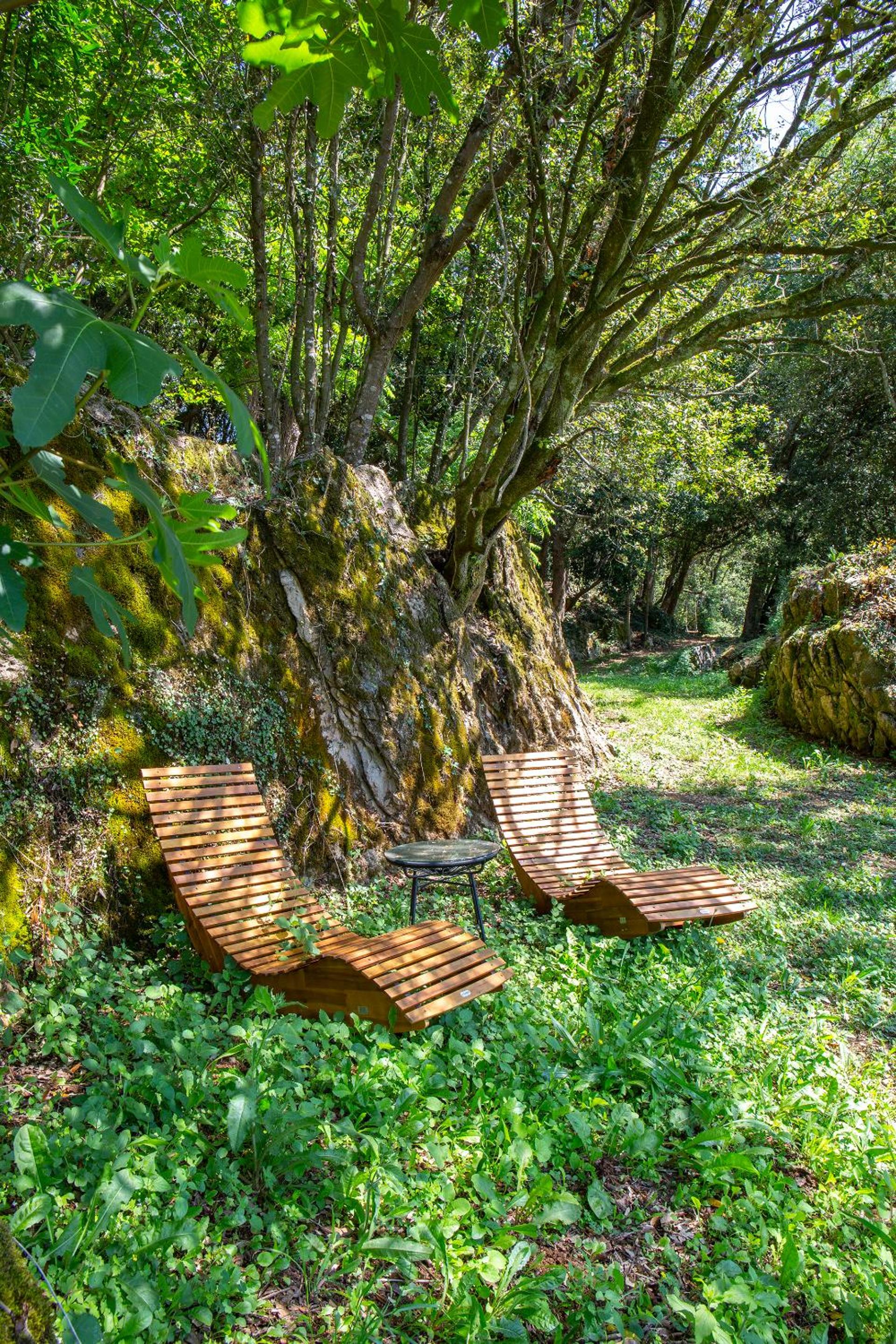 VIBE LUXURY CABINS