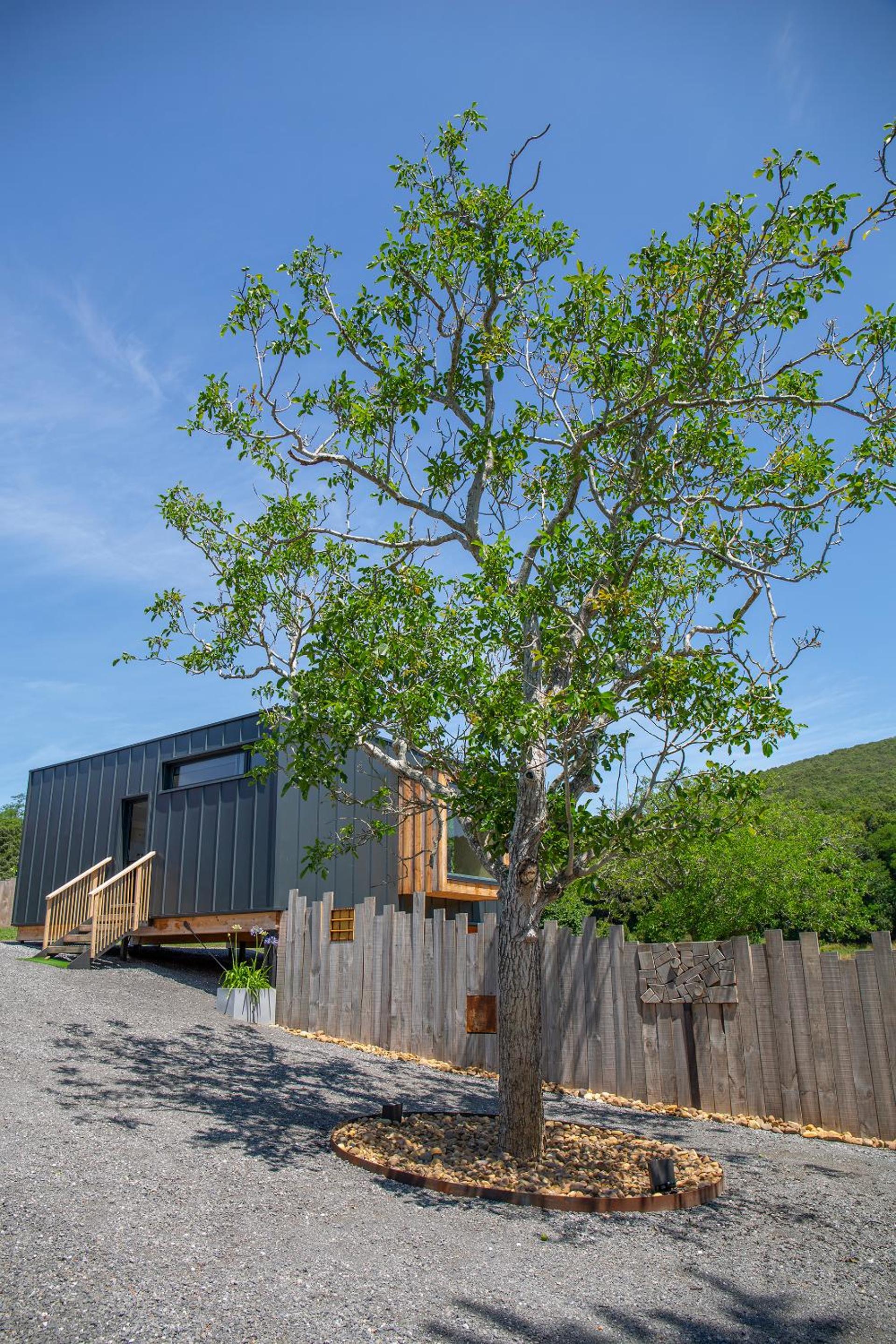 VIBE LUXURY CABINS