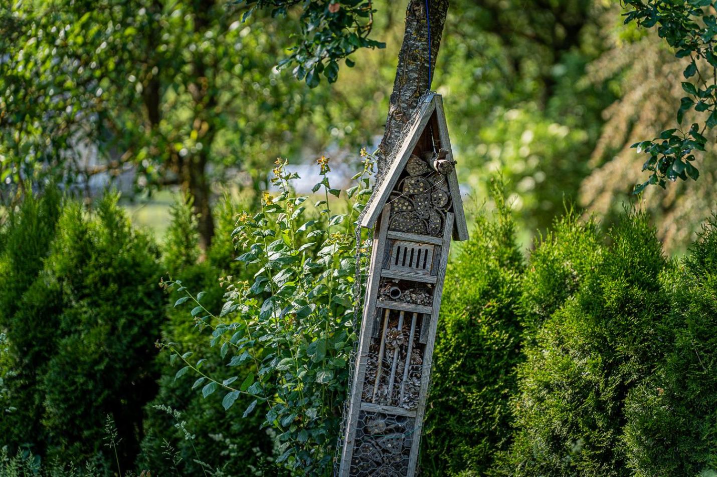 B&B - La Maison des Sottais