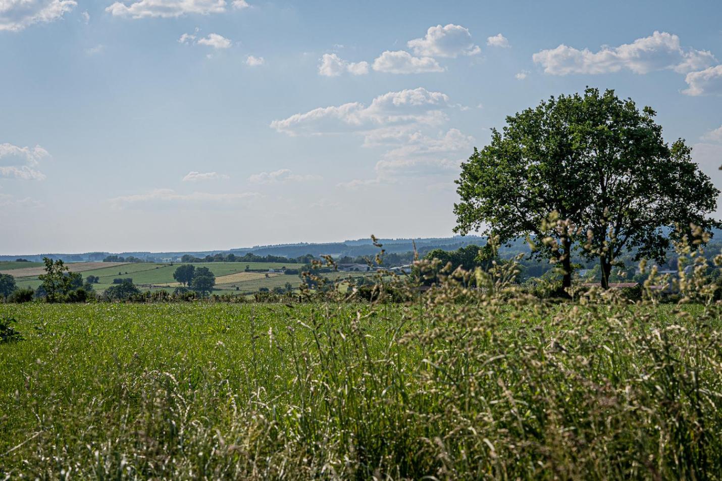 B&B - La Maison des Sottais