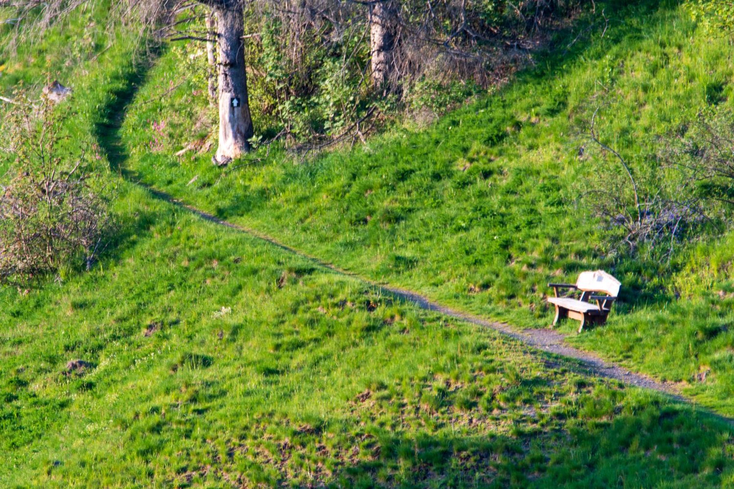 Natur Pur Ferienwohnung Glockenberg