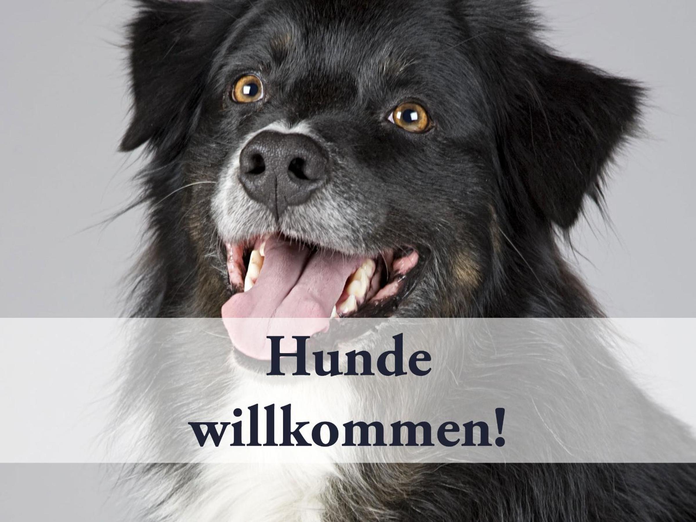 Natur Pur Ferienwohnung Waage