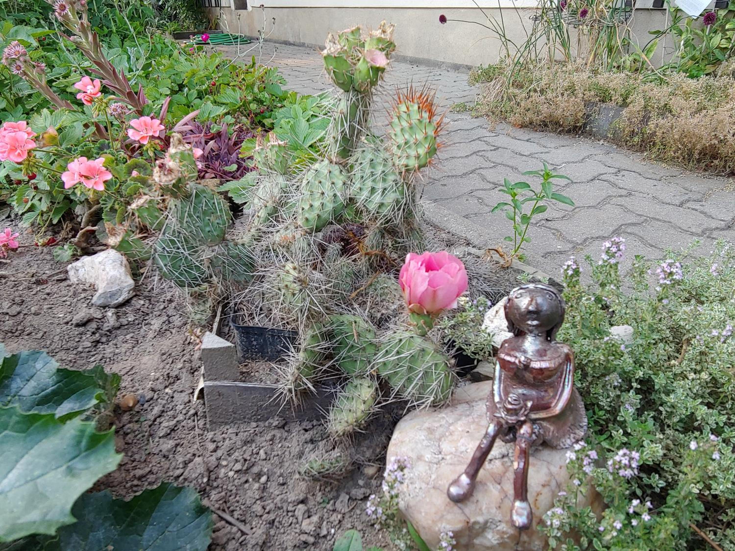 Ferienwohnung am Garten