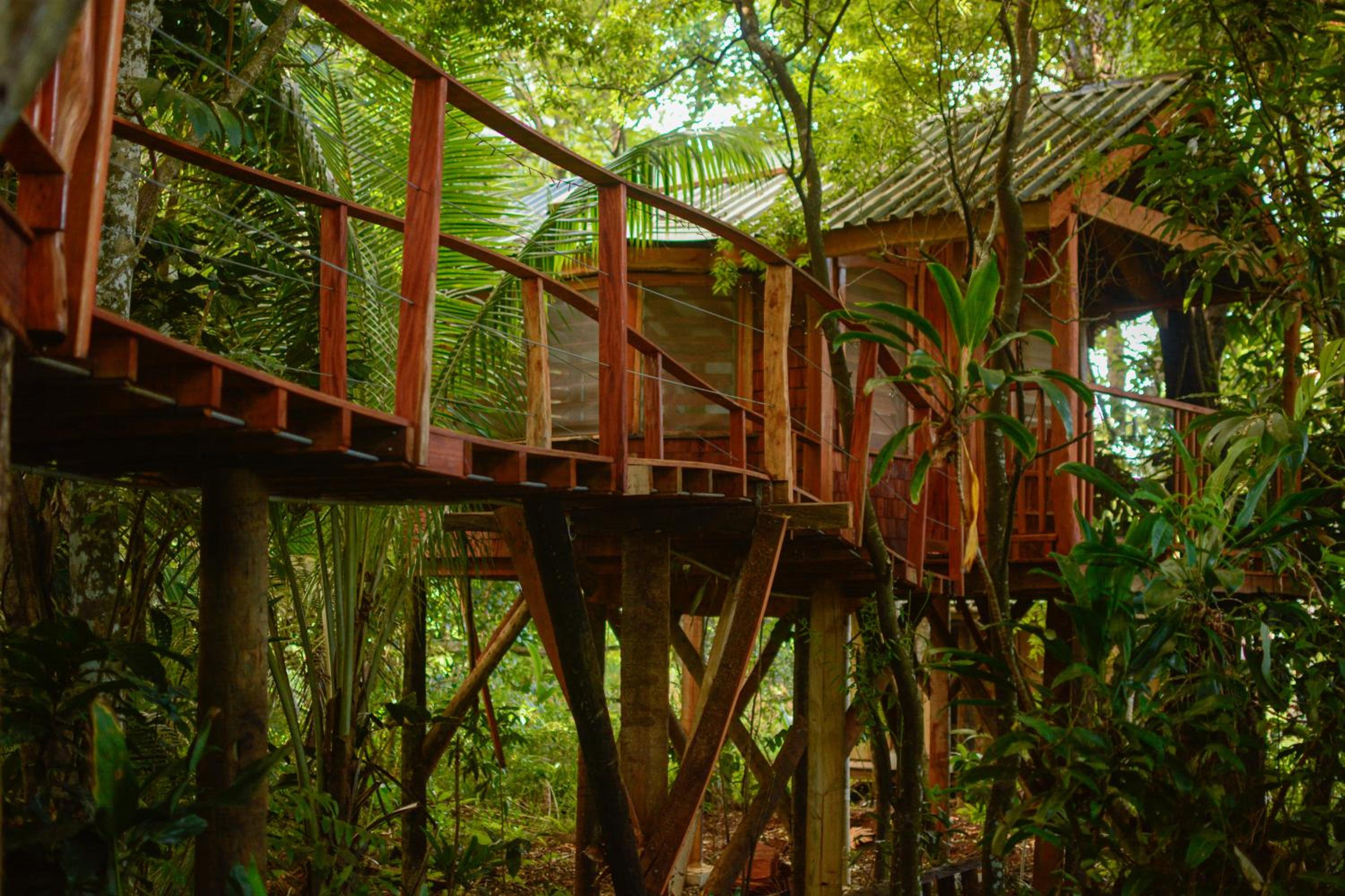 Tukulolo Treehouses view 5