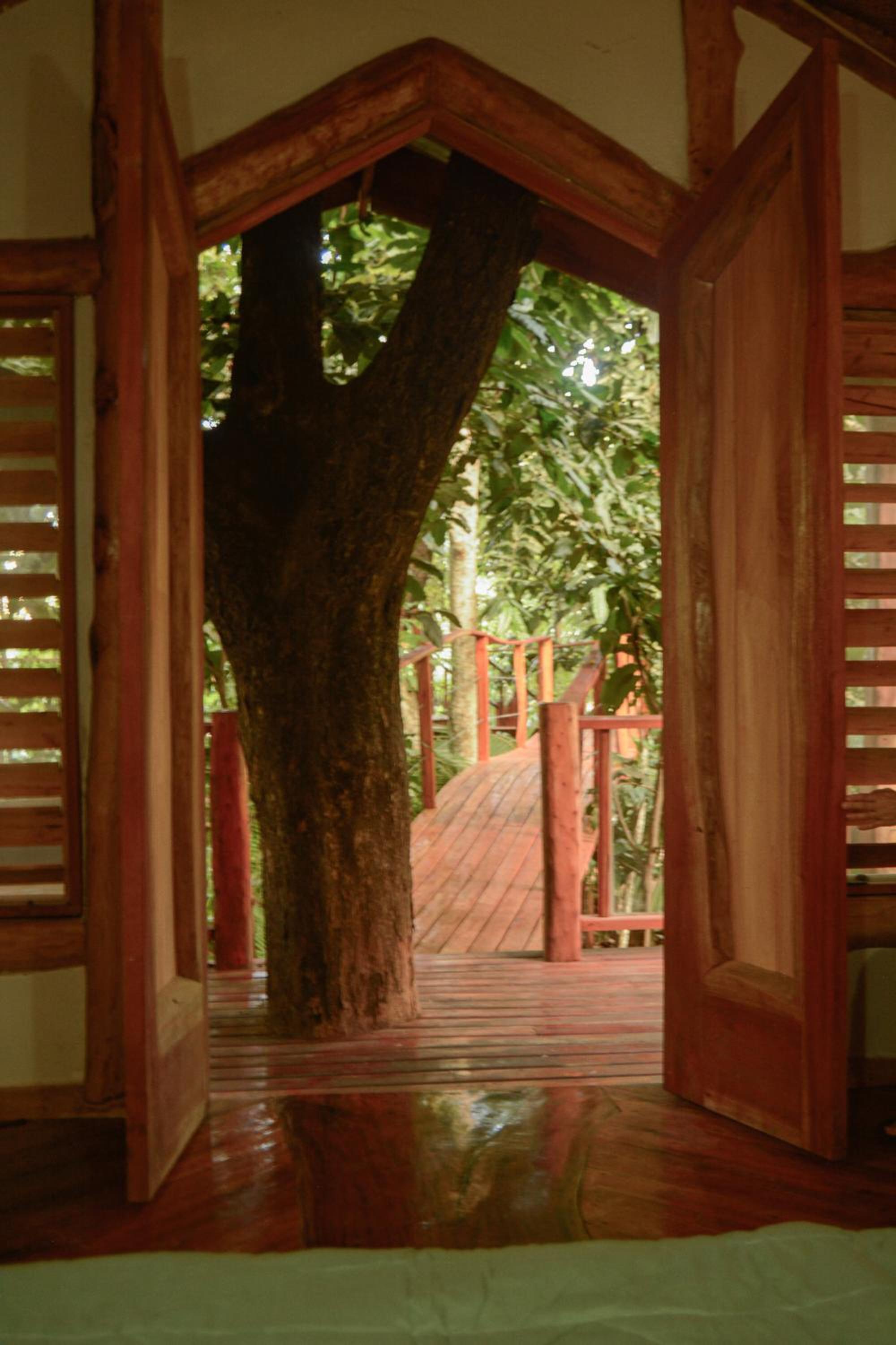 Photo 25