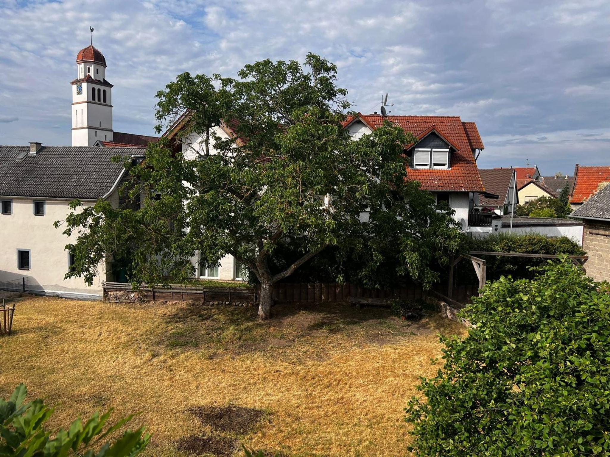 Ferienwohnung Weingarten