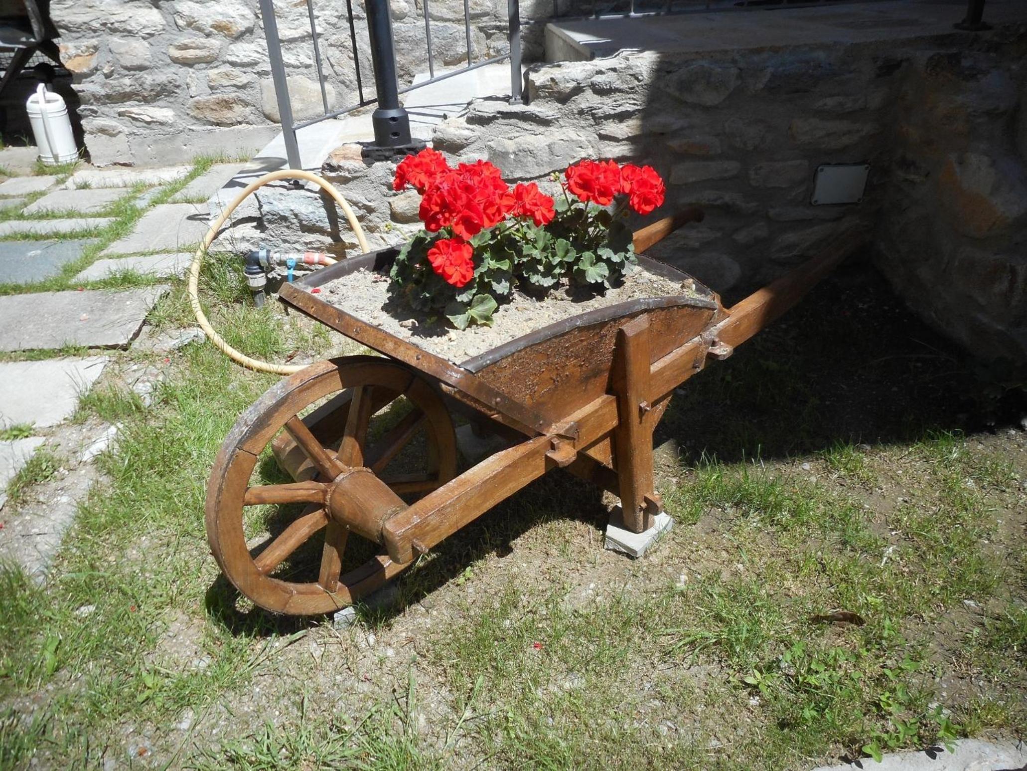 Photo 15