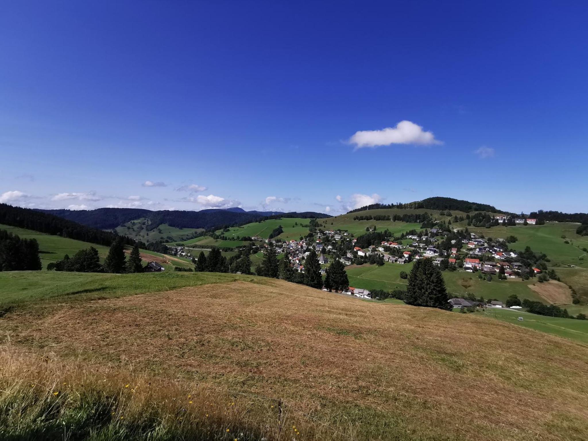 Fewo 12 - Residenz Schauinsland, E-Ladestation, Todtnauberg, Feldberg