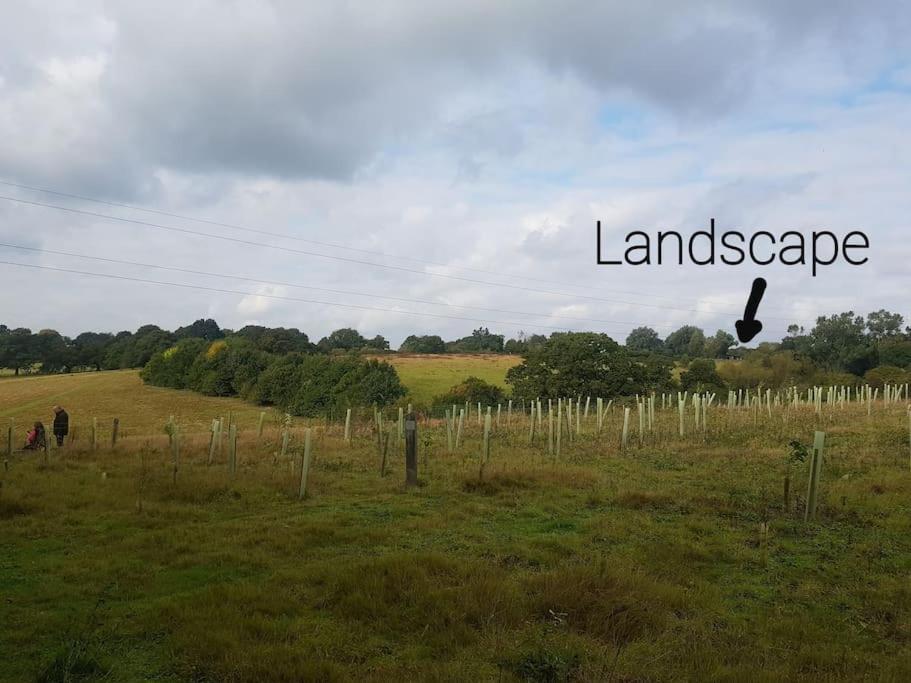Landscape, New Eco Lodge Flatford Mill