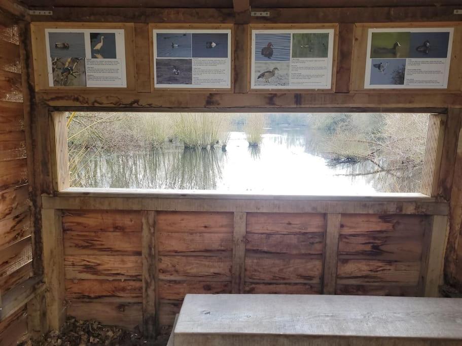 Landscape, New Eco Lodge Flatford Mill