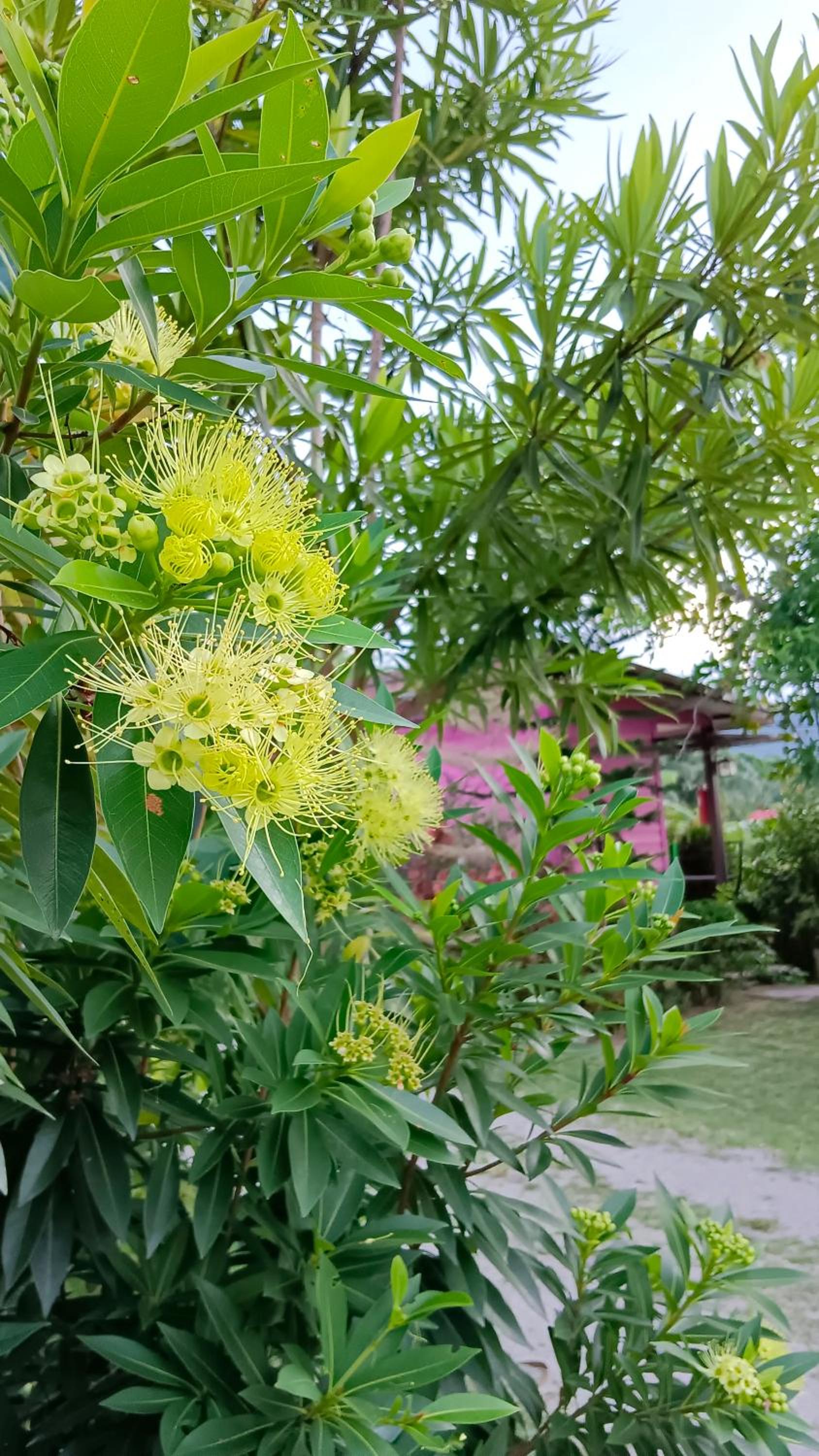 4 seasons mini house view 3