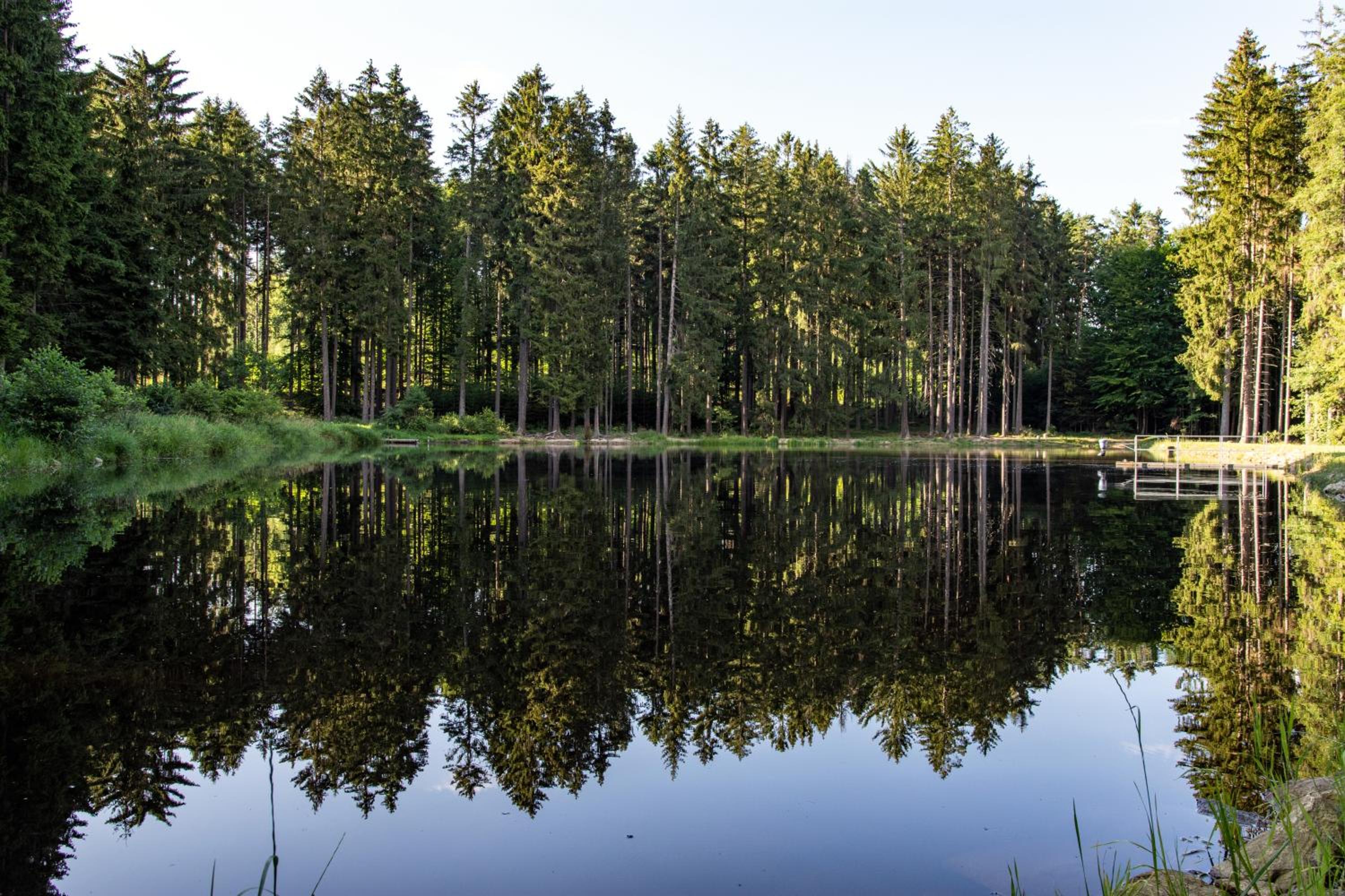 Maringotka Lesní Mlýn