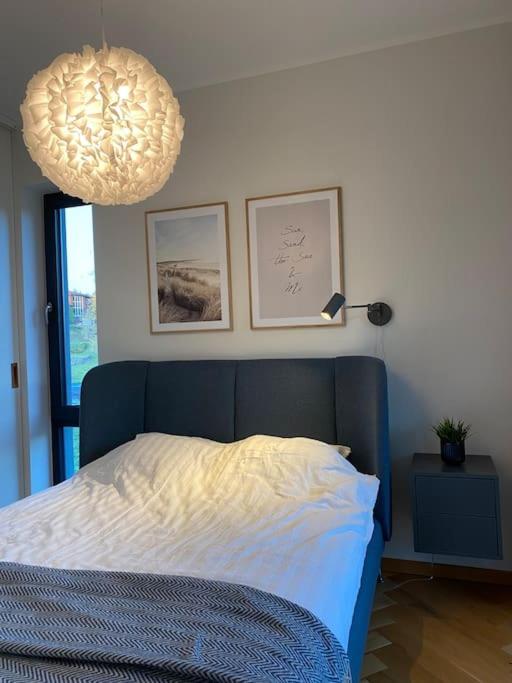 Cozy apartment near the beach and the city center