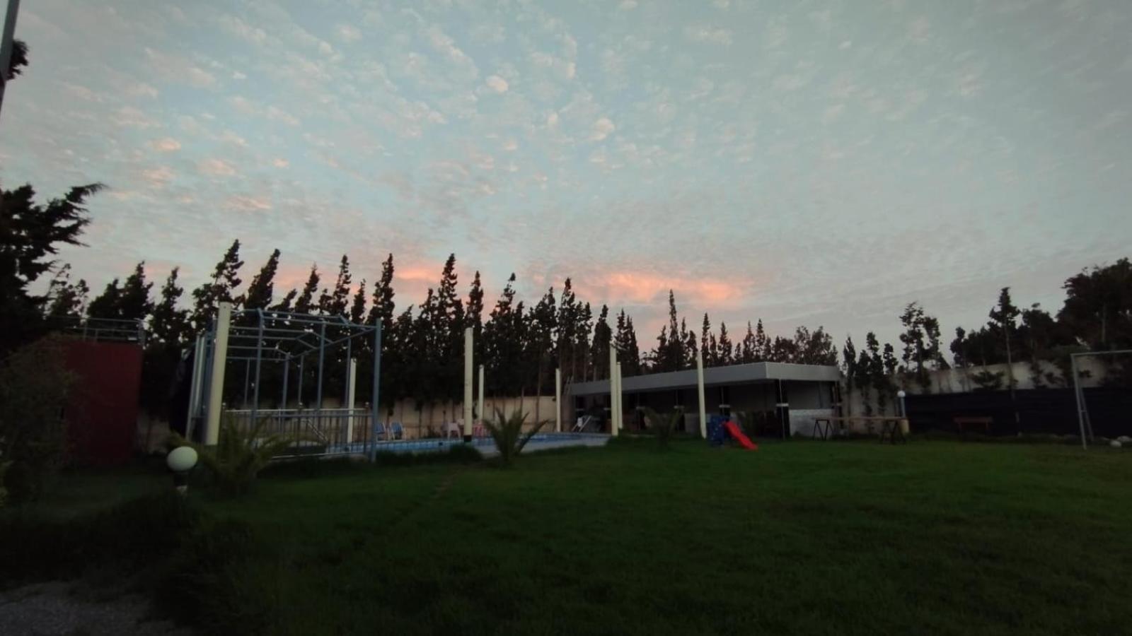 Photo 42
