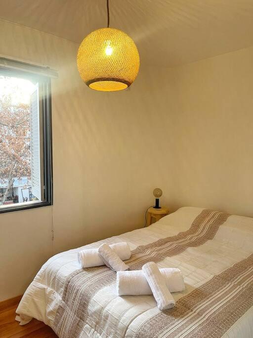 Cozy apartment