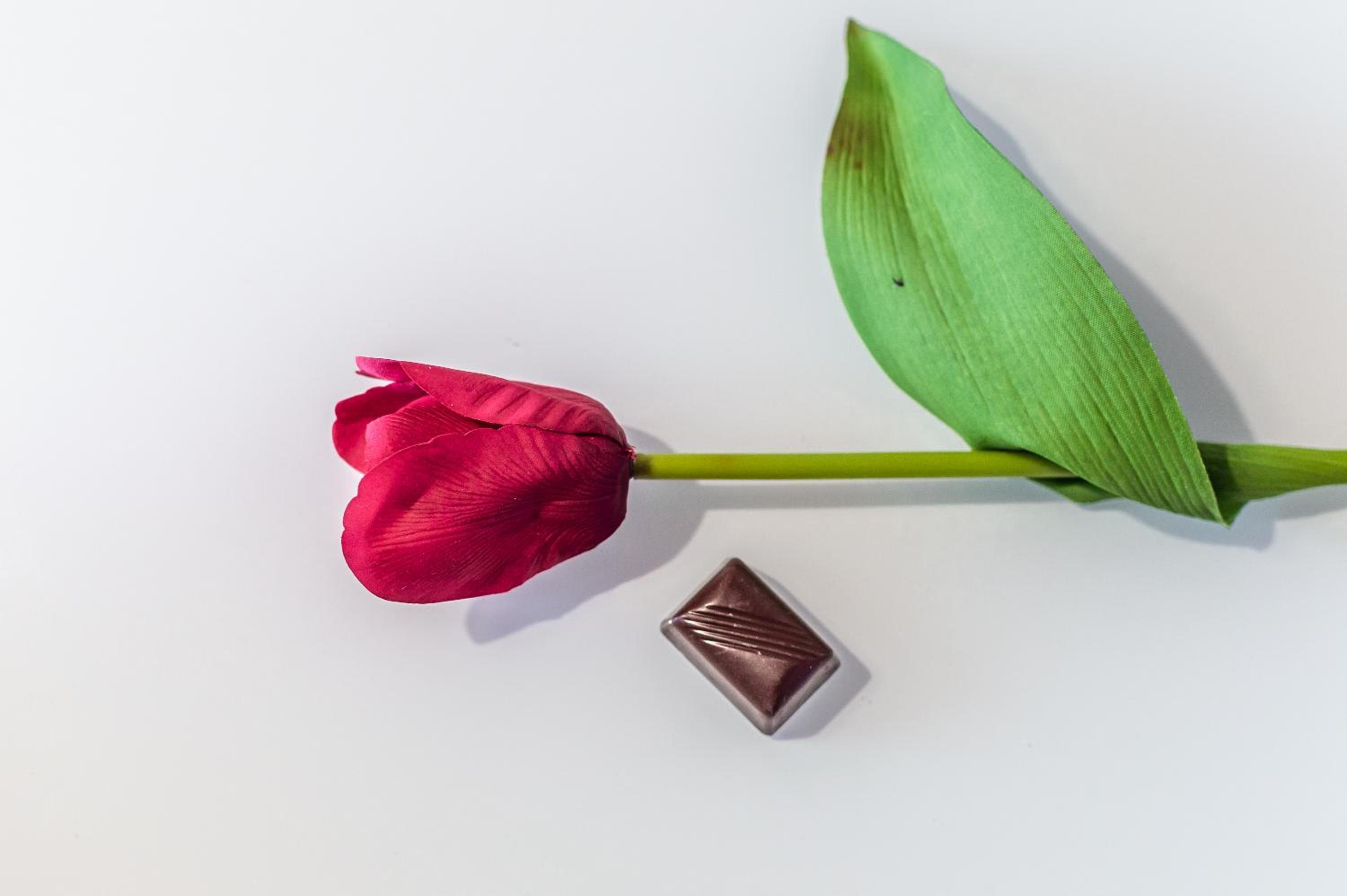 Florence chocolate