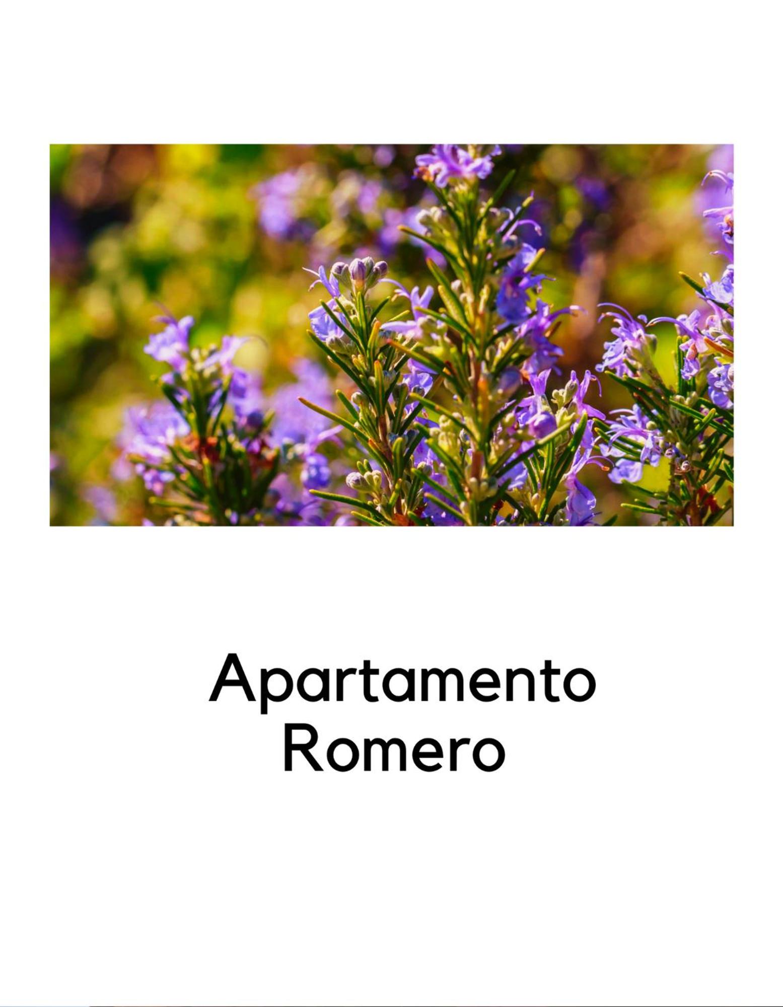 Alojamientos La Ermita