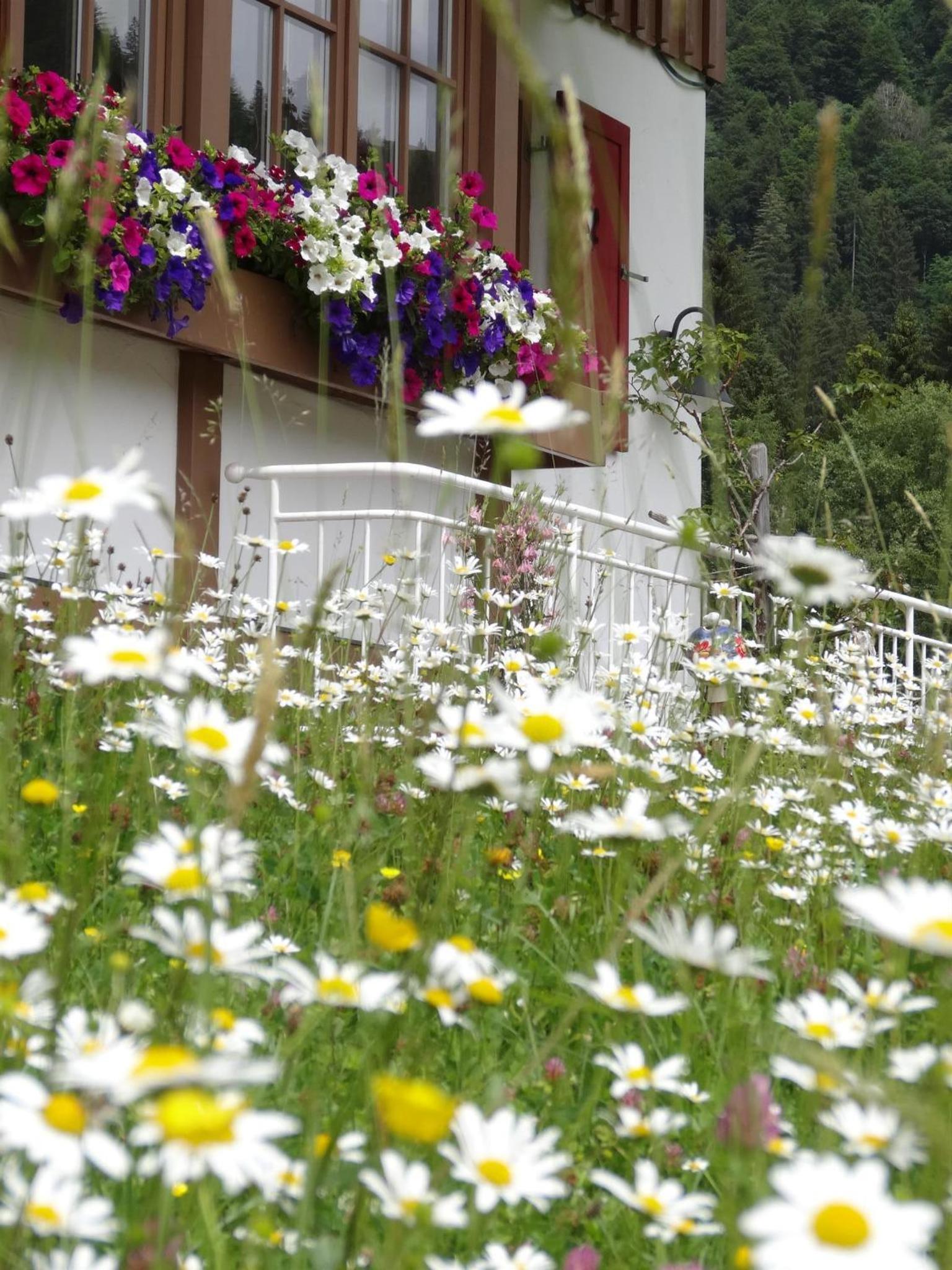 Albingers Landhaus