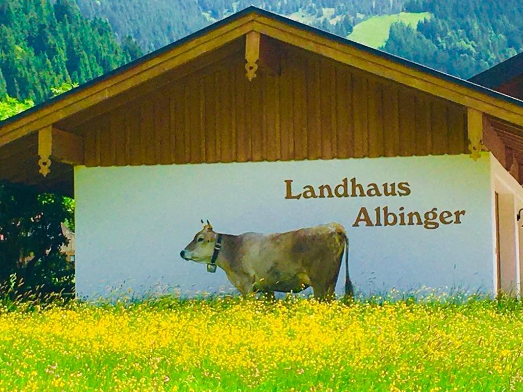Albingers Landhaus