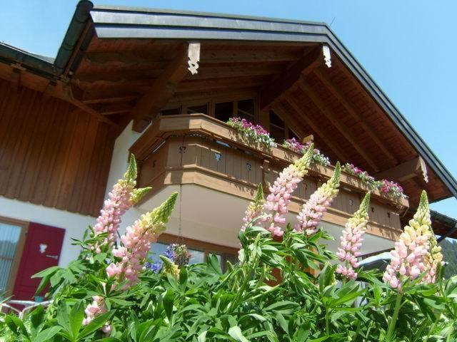 Albingers Landhaus